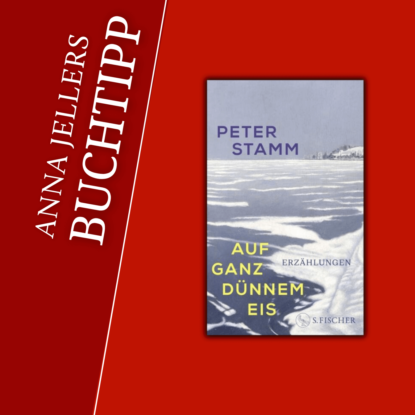 Anna Jellers Buchtipp | Peter Stamm: Auf ganz dünnem Eis