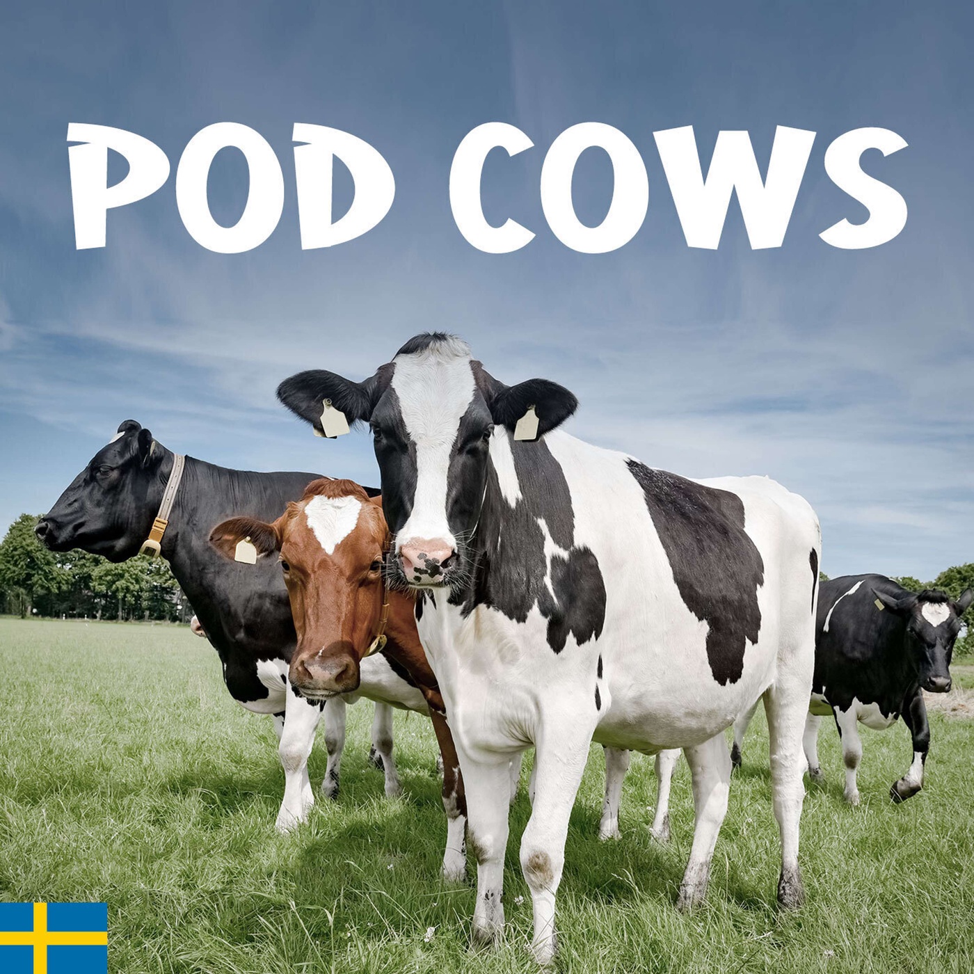 Fårparasiter med Allan Hägg Grönborg, Distriktsveterinärerna