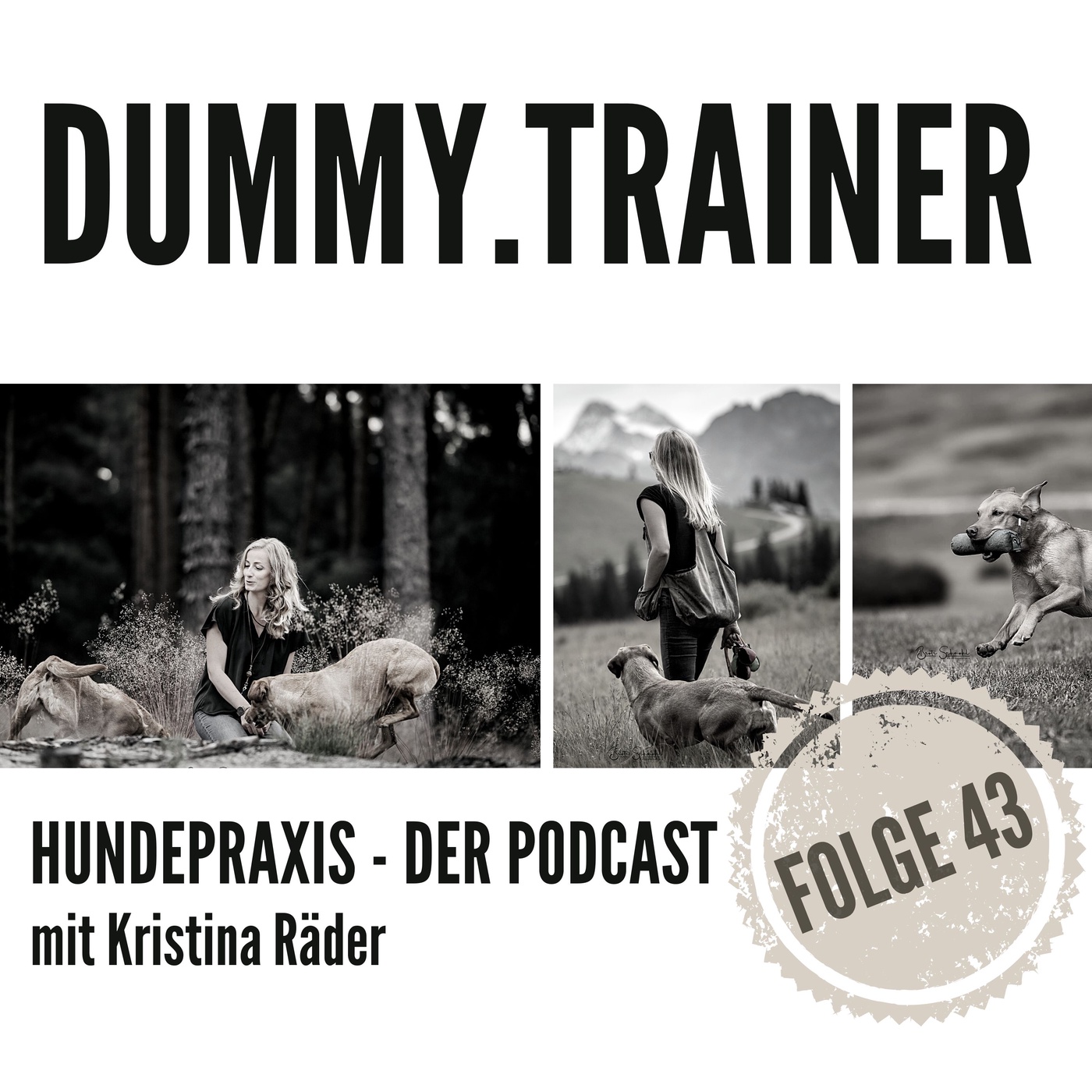 Dummy-Trainer werden