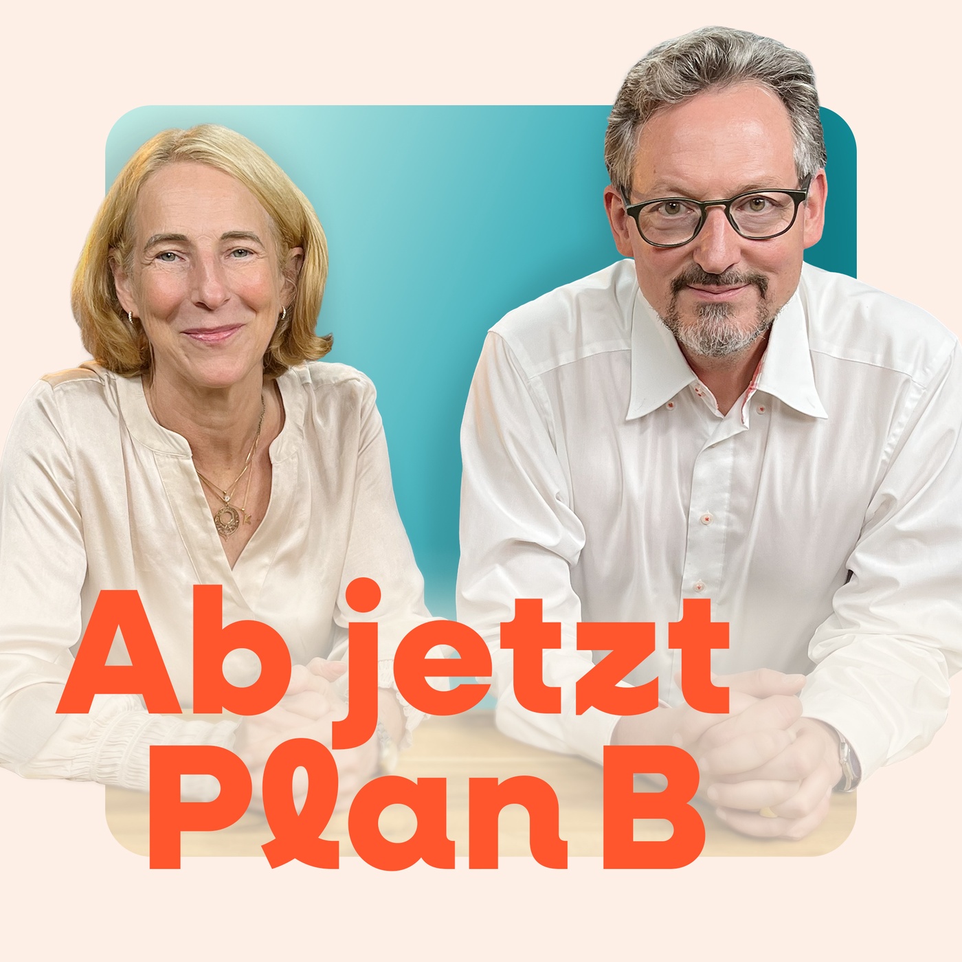 Trailer: Ab jetzt Plan B - ab 27. November online 