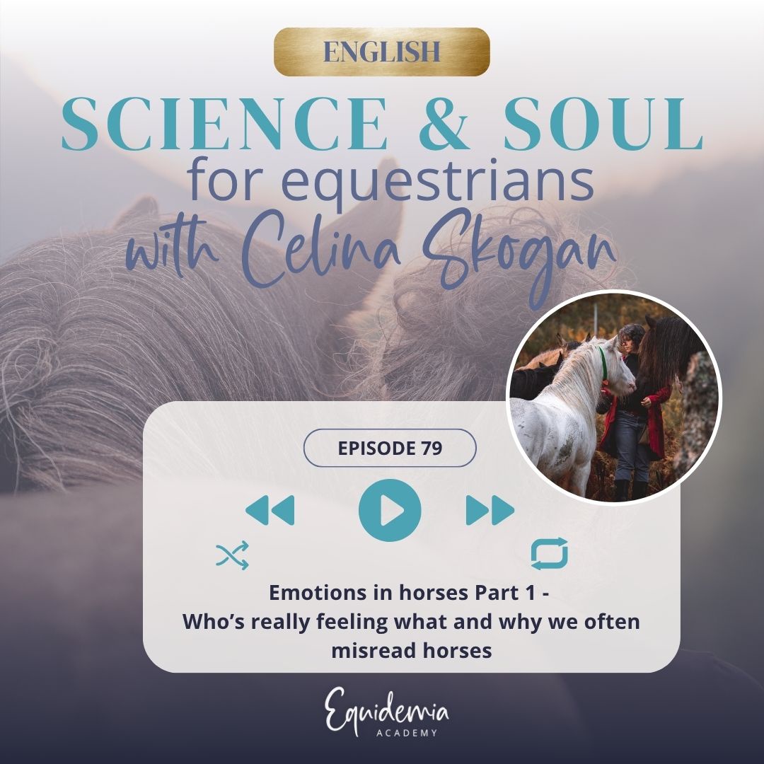 Emotions in horses Part 1 - Who’s really feeling what and why we often misread horses