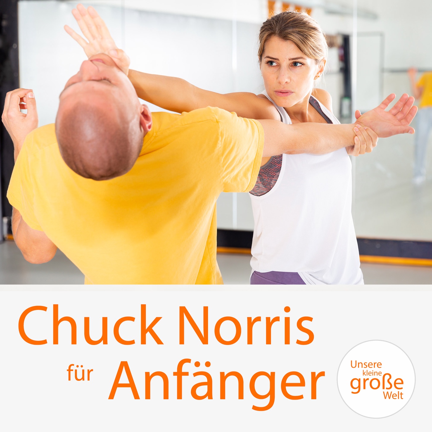 Chuck Norris für Anfänger