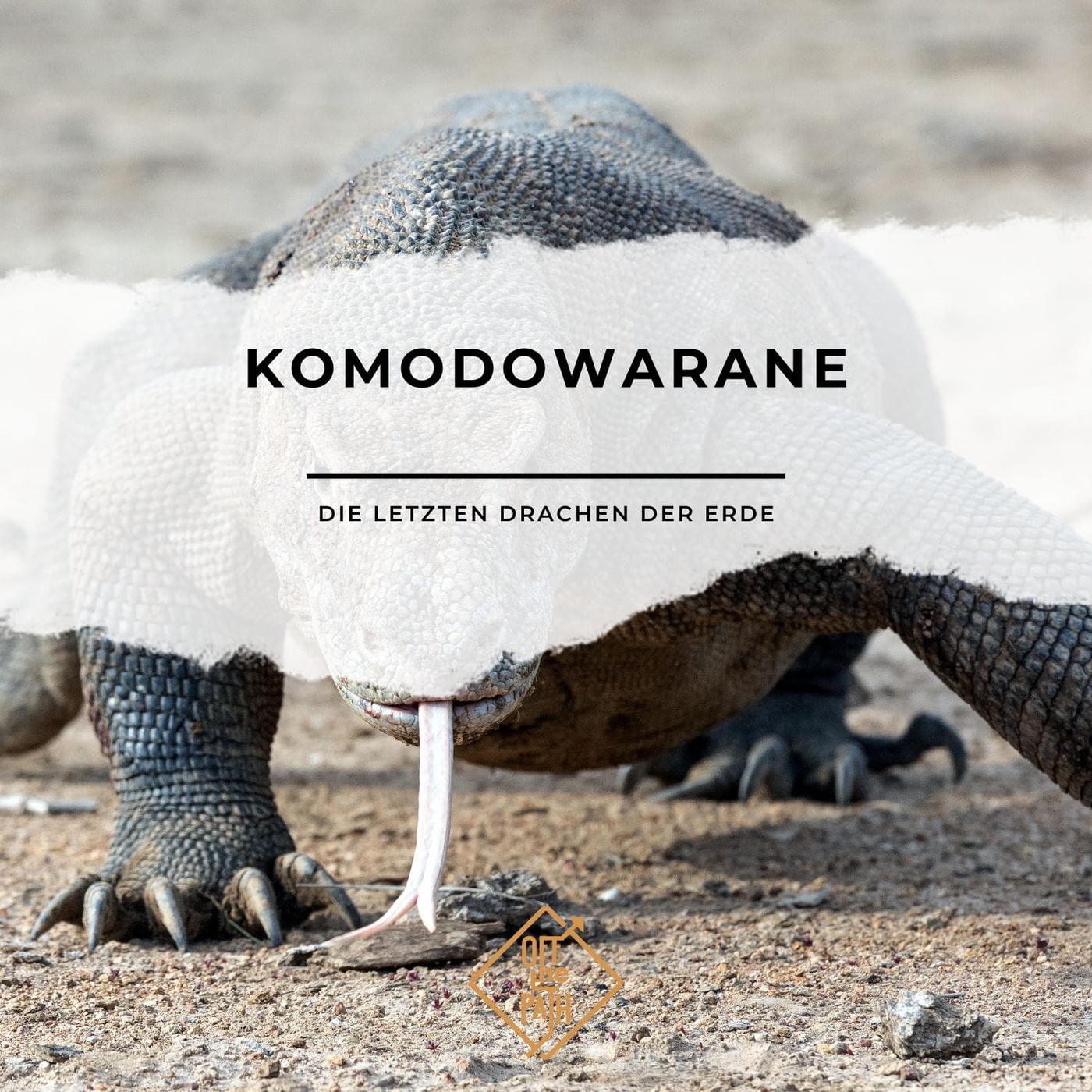 Komodowarane: Die letzten Drachen der Erde