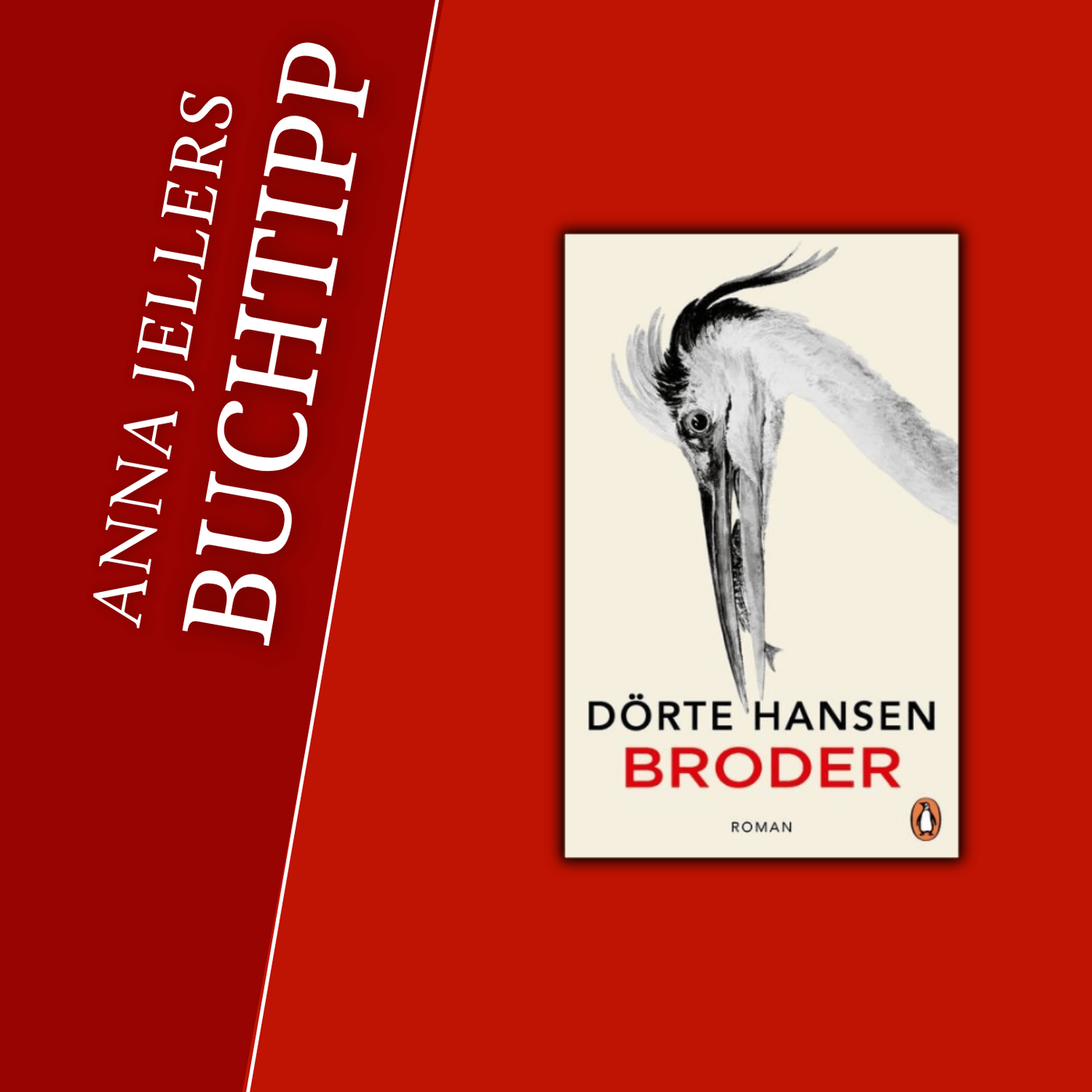 Anna Jellers Buchtipp | Dörte Hansen: Broder