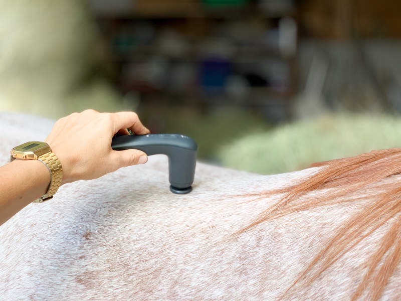 Verspannungen beim Pferd lösen