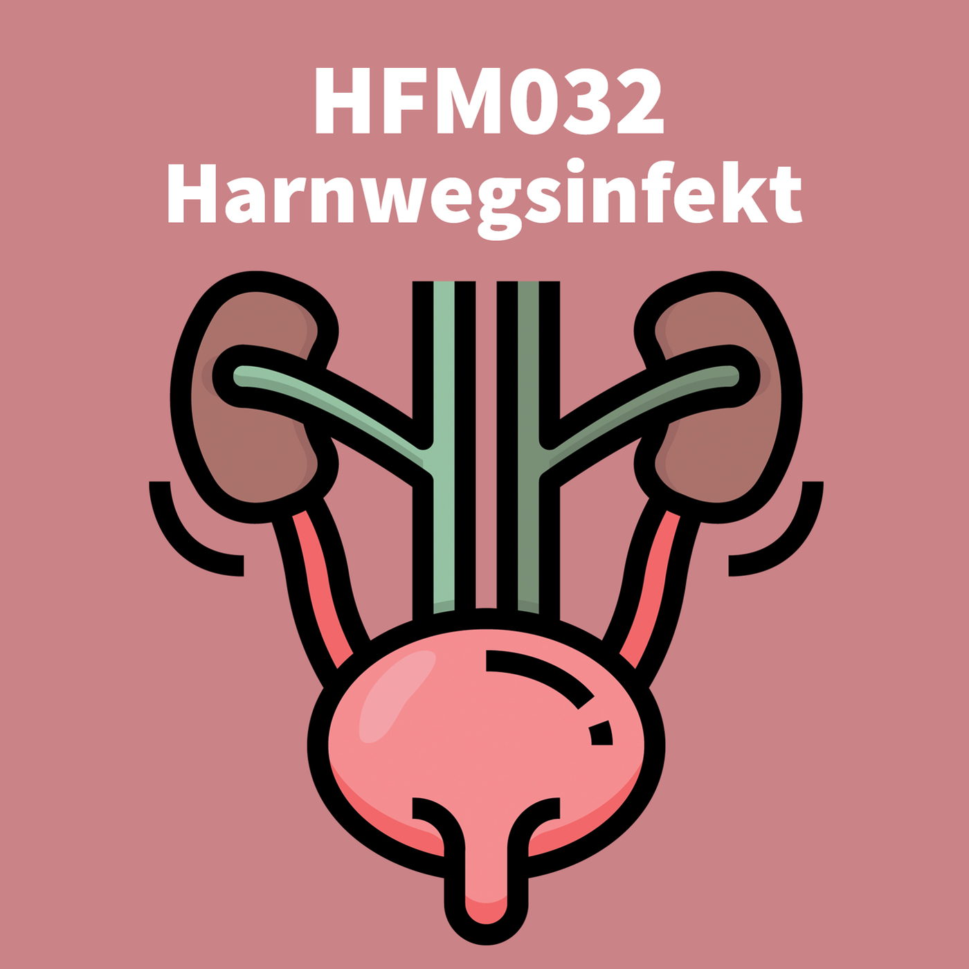HFM032 - Harnwegsinfekt