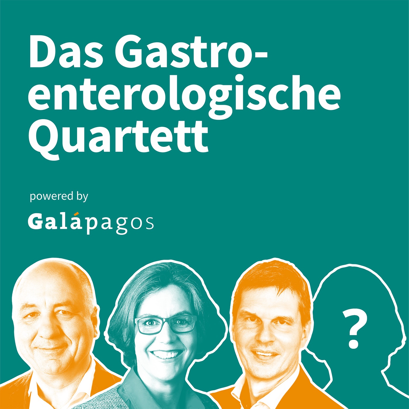 Das Gastroenterologische Quartett