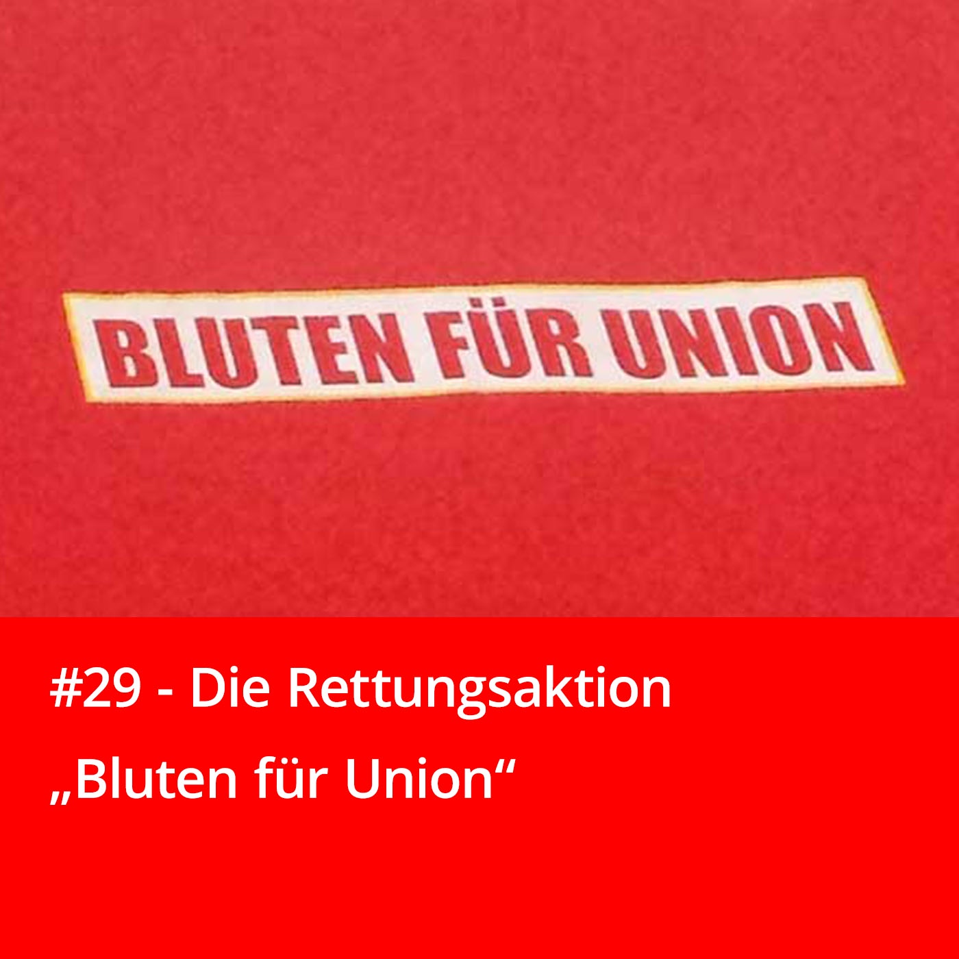 #29 – Die Rettungsaktion 