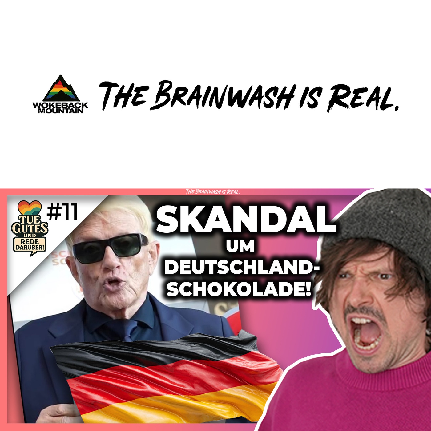 Warum die DEUTSCHLAND-FLAGGE verboten werden sollte!
