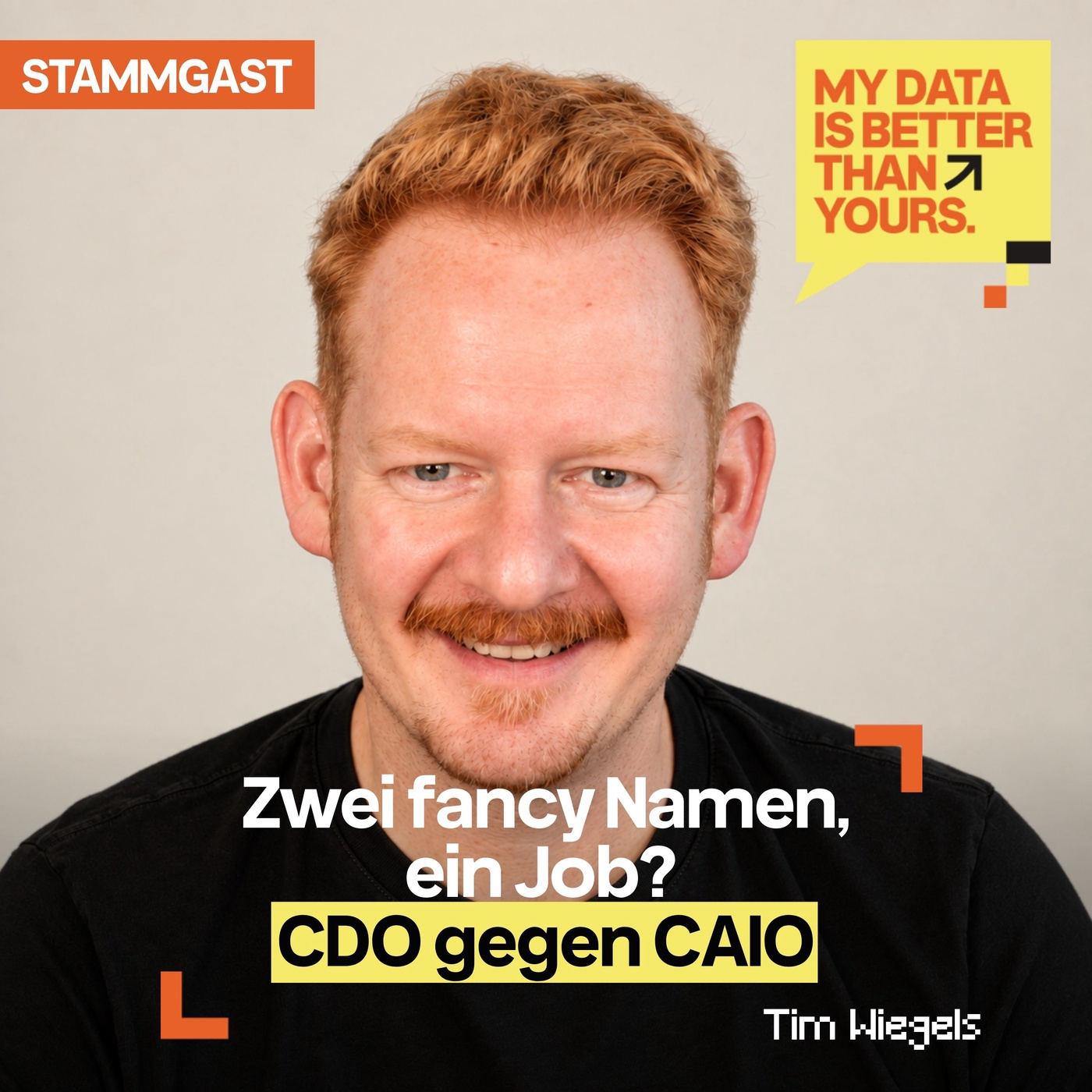 Zwei fancy Namen, ein Job? CDO gegen CAIO – mit Tim W., Tim Wiegels Data Solutions