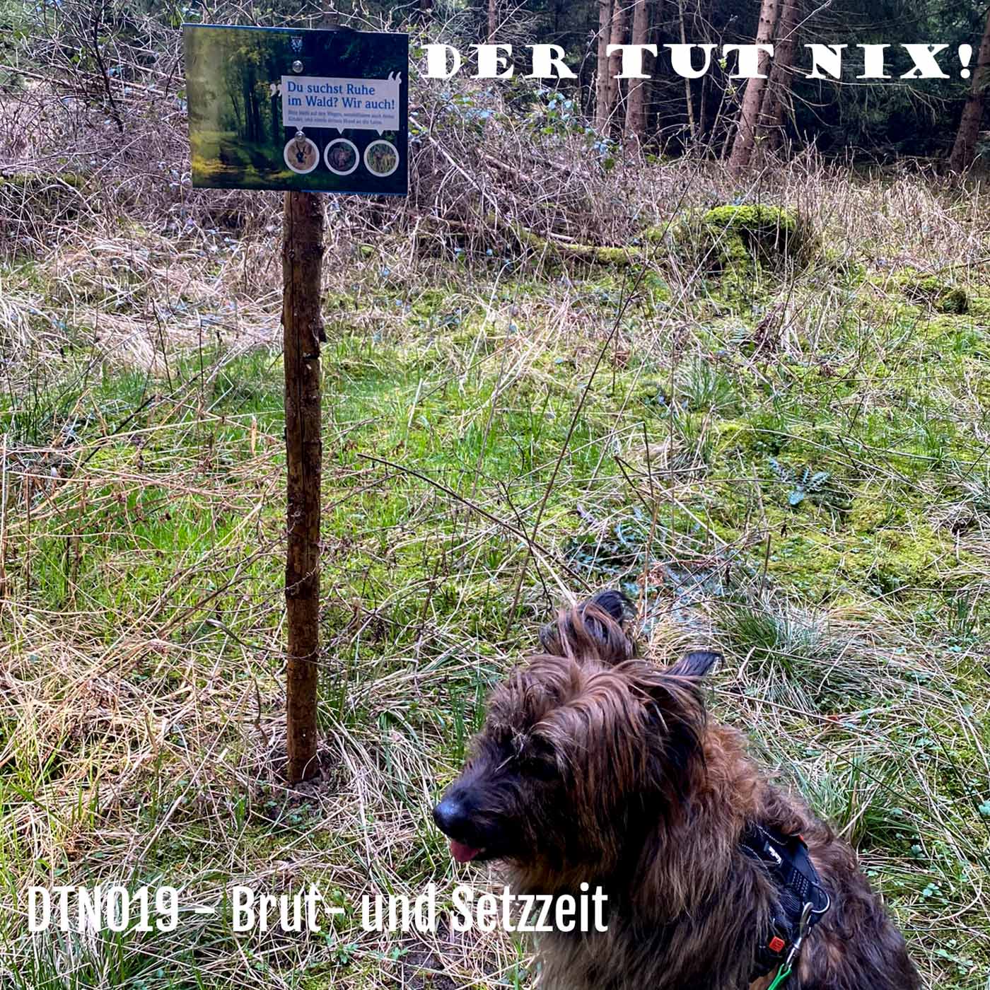 DTN019 - Brut- und Setzzeit