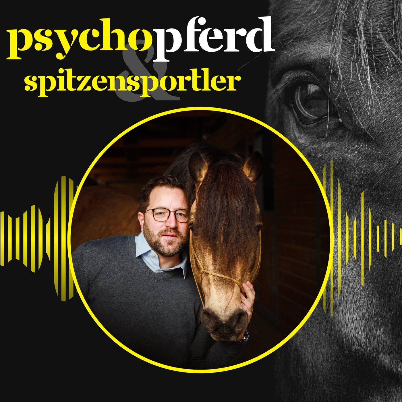 Timo Ameruoso im Interview Teil 1 #003 - PsychoPferd & Spitzensportler