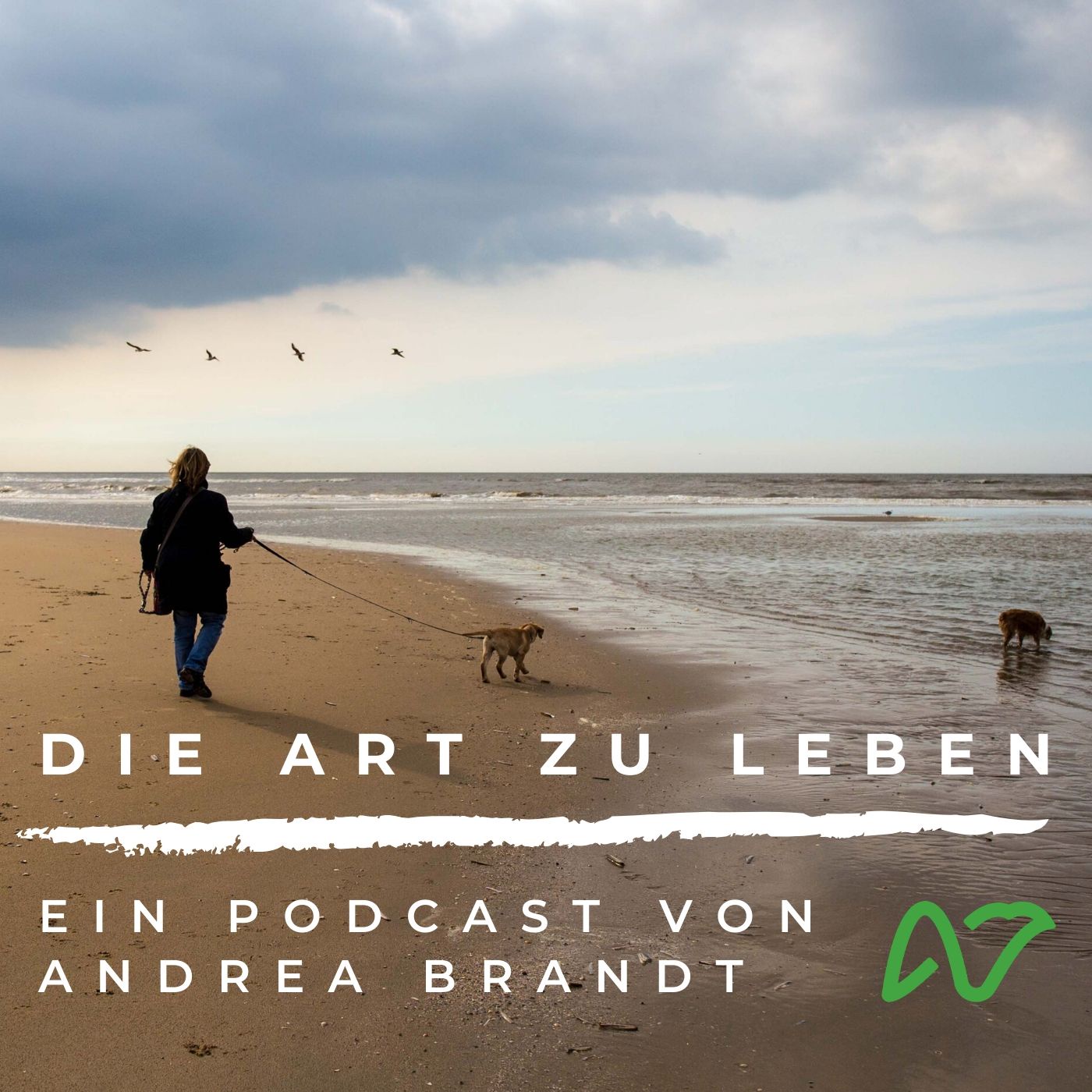 #51 Wer bin ich ohne diesen Gedanken