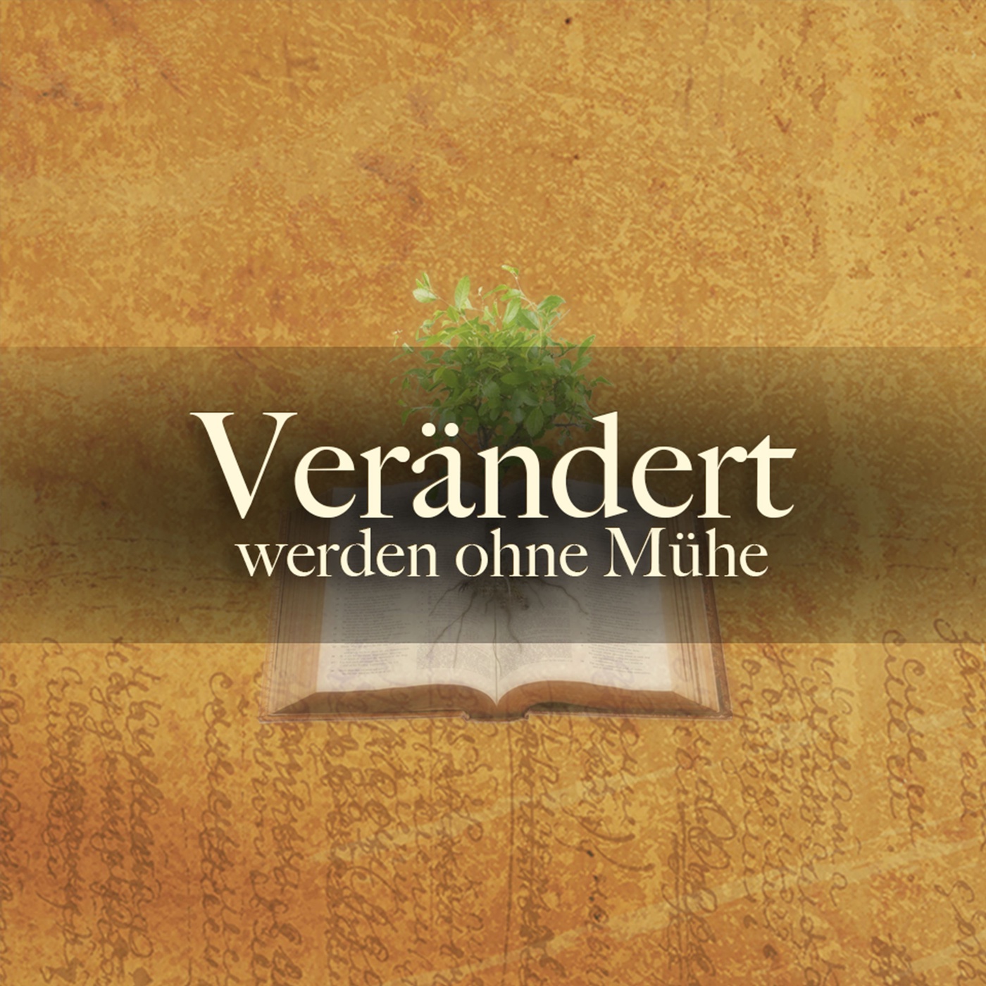 Verändert werden ohne Mühe: Folge 16