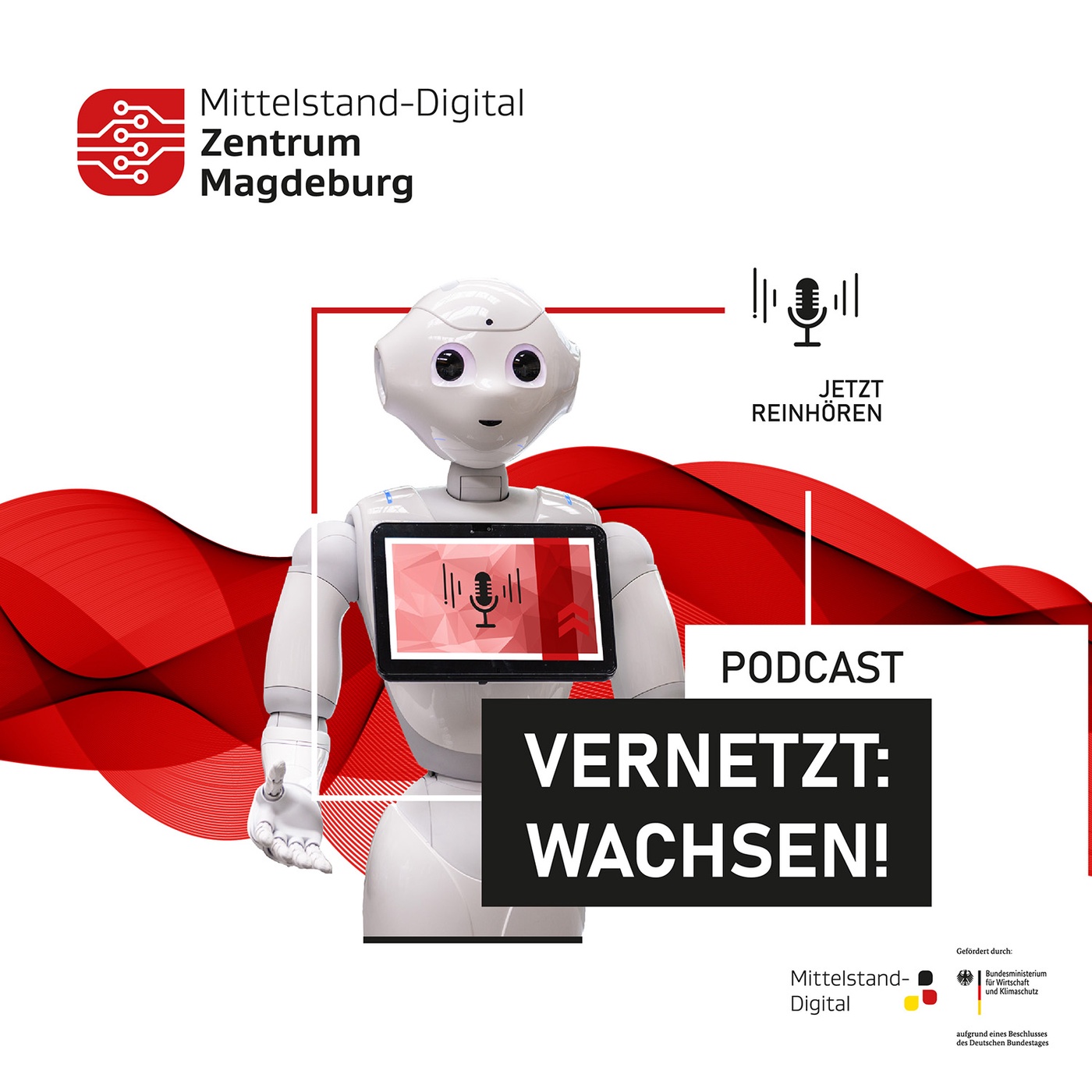 Vernetzt Wachsen - Ein Podcast des Mittelstand-Digital Zentrums Magdeburg