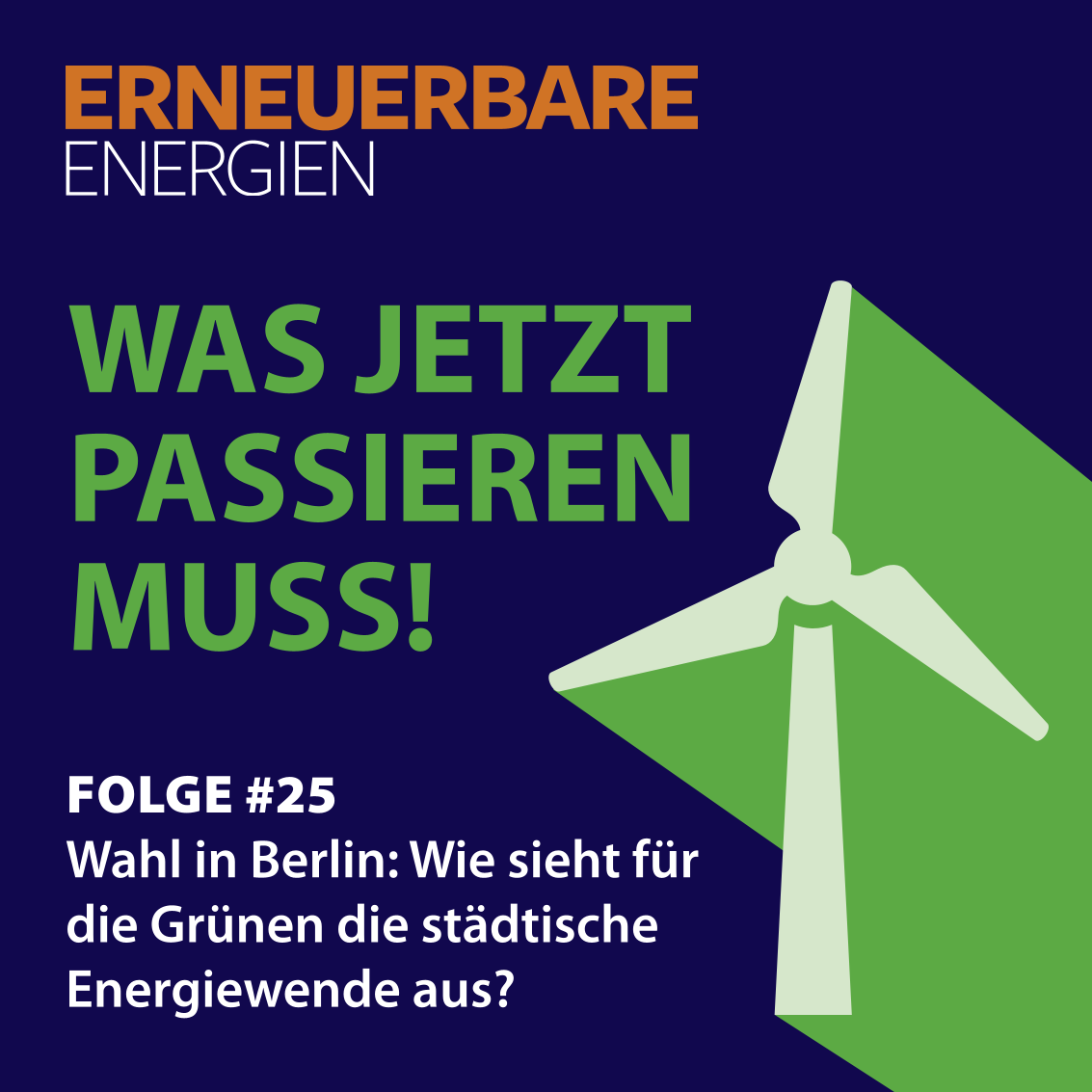 Wahl in Berlin: Wie sieht für die Grünen die städtische Energiewende aus?
