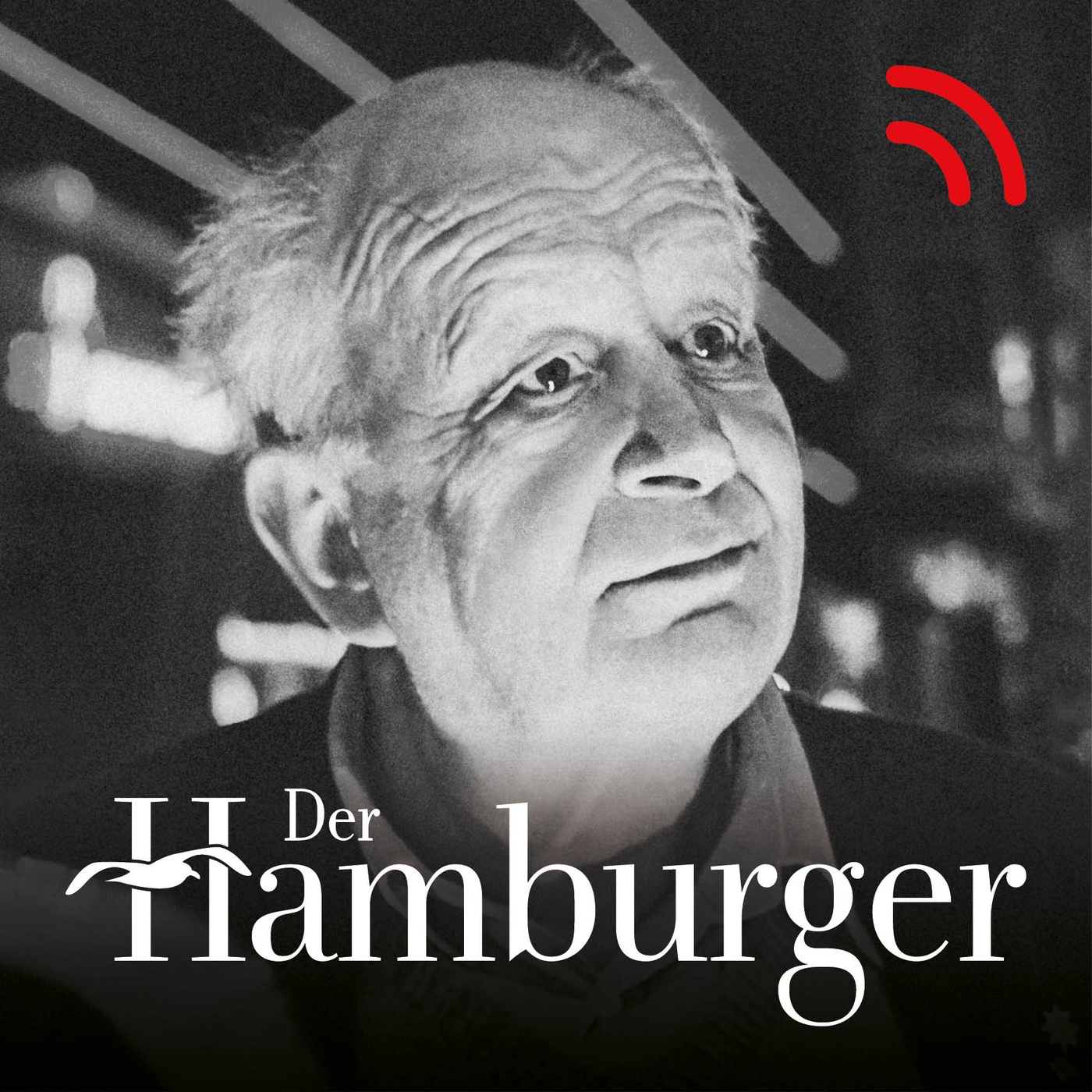 Günter Zint, Hamburger Kult-Fotograf