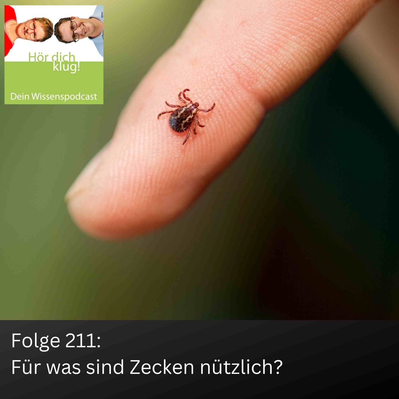 Für was sind Zecken nützlich?