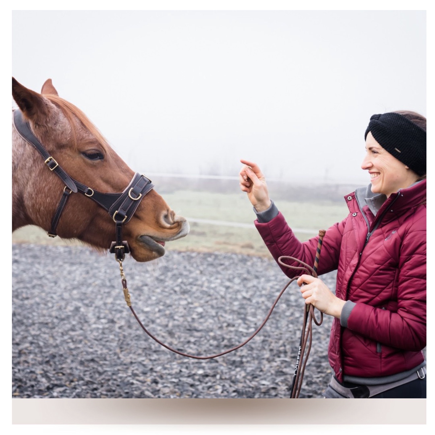 Wie du deinem Pferd tatsächlich zuhören kannst