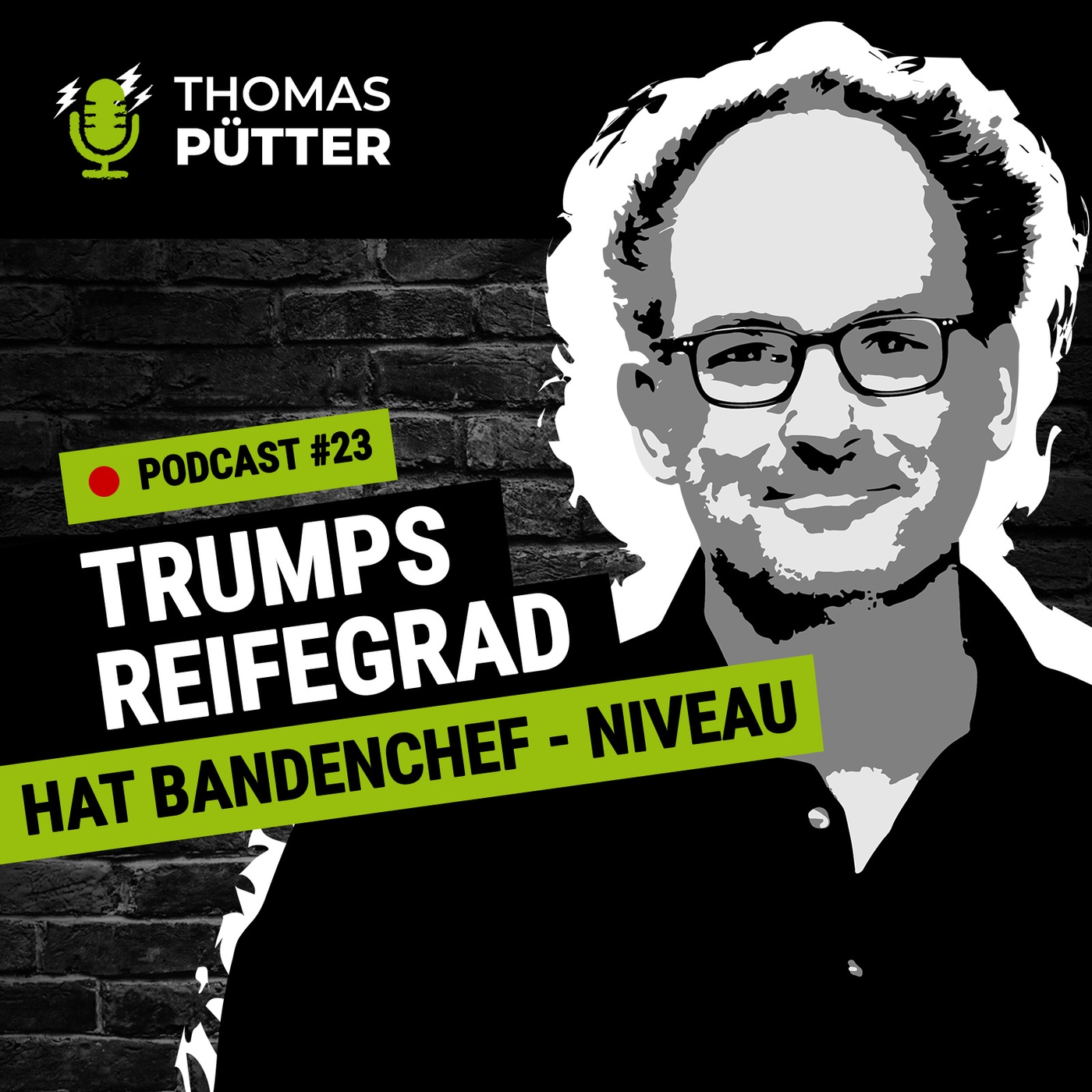 (23) Trumps Reifegrad hat Bandenchef-Niveau