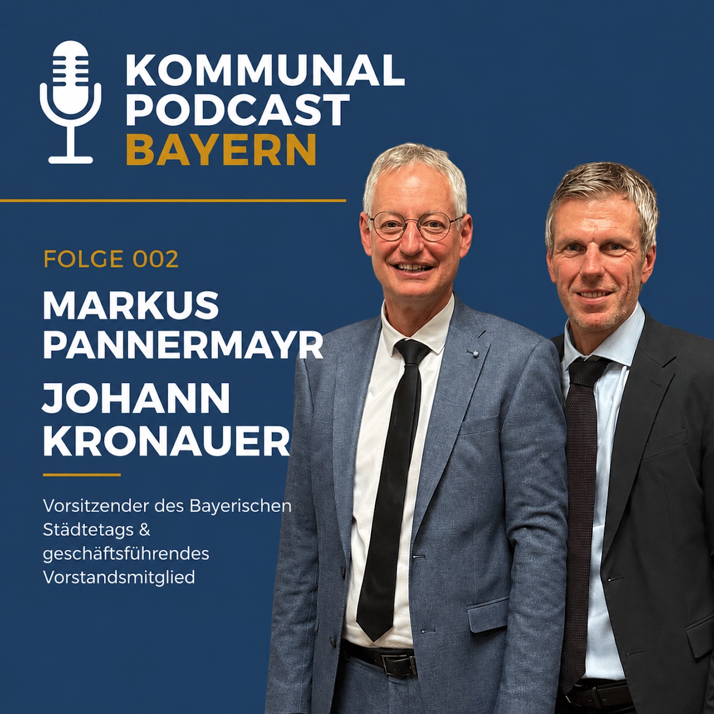 Herausforderungen der kommenden Jahre – Markus Pannermayr und Hans Kronauer zur neuen Kommunalwahlperiode