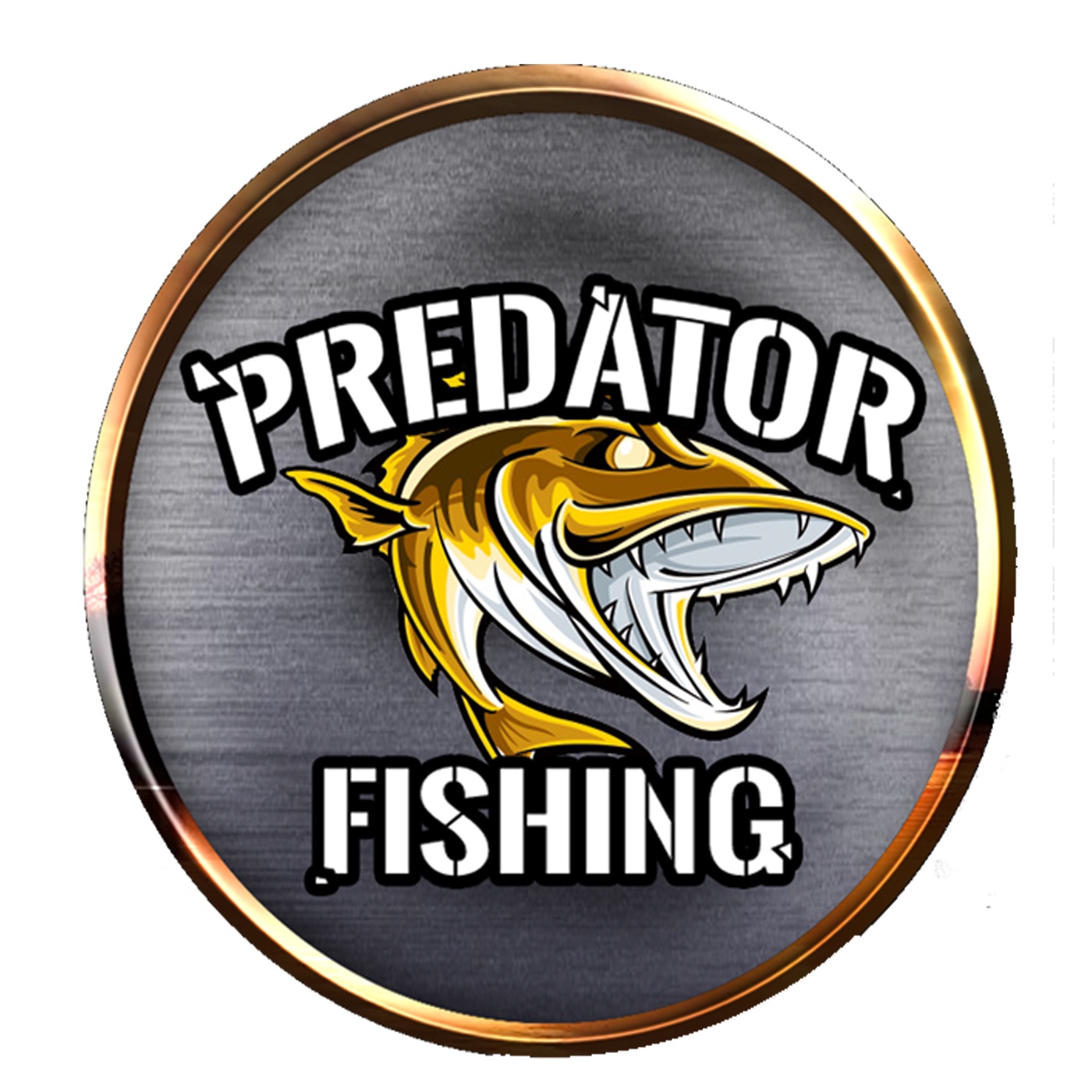 [1] Wir sind zurück ! Predator Fishing Staffel 2 , Die gemeine Forelle