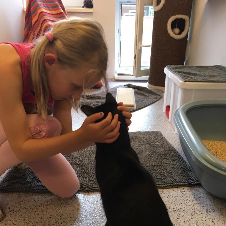 Kinder lesen Katzen vor - Die Kurzwelle im Tierheim