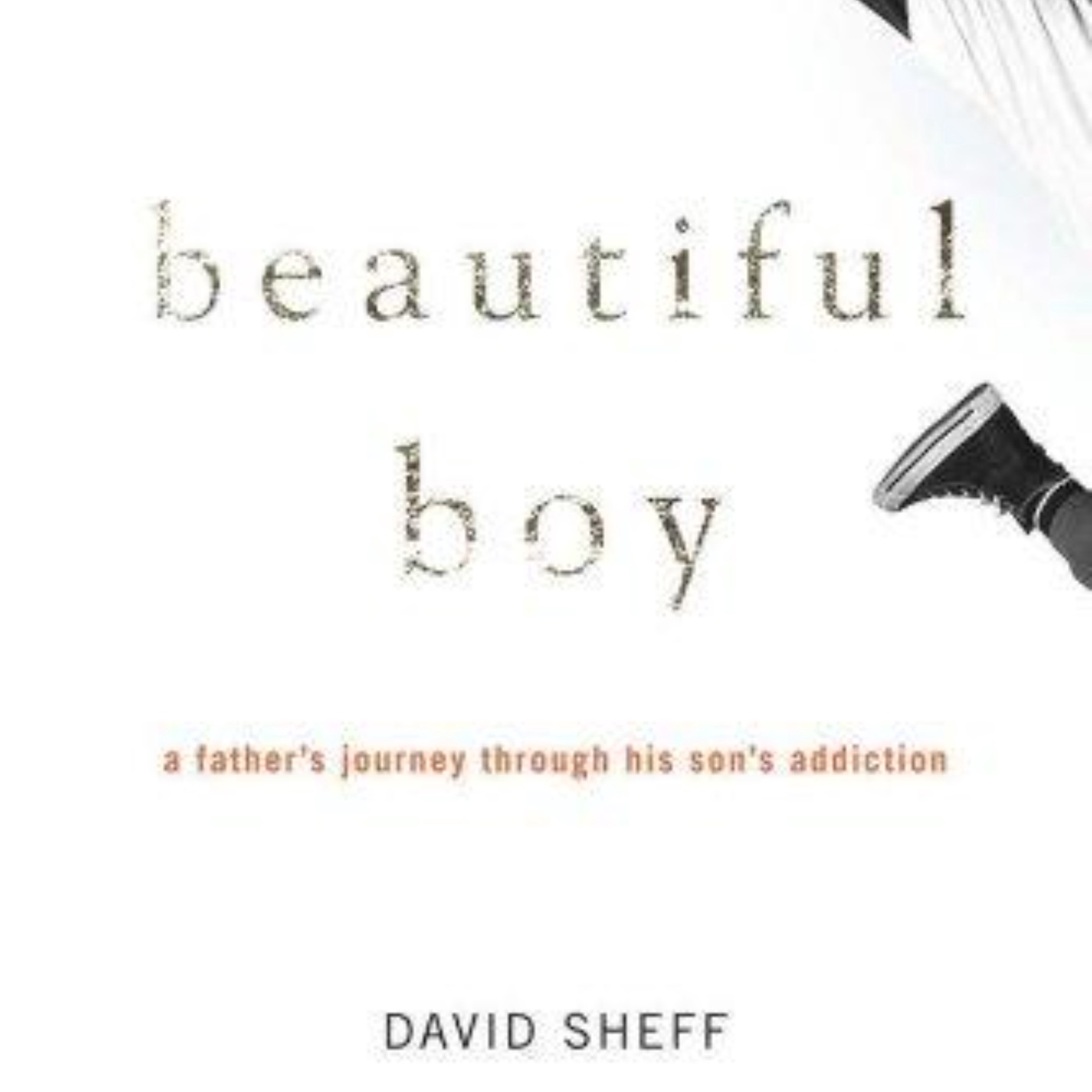 Beautiful Boy: An Engaging Audio Summary of David Sheff's Heartfelt Memoir