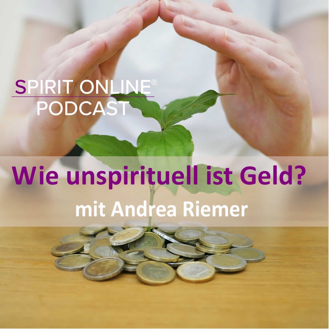 Buddha bei de Fische: wie unspirituell ist Geld?  - mit Andrea Riemer