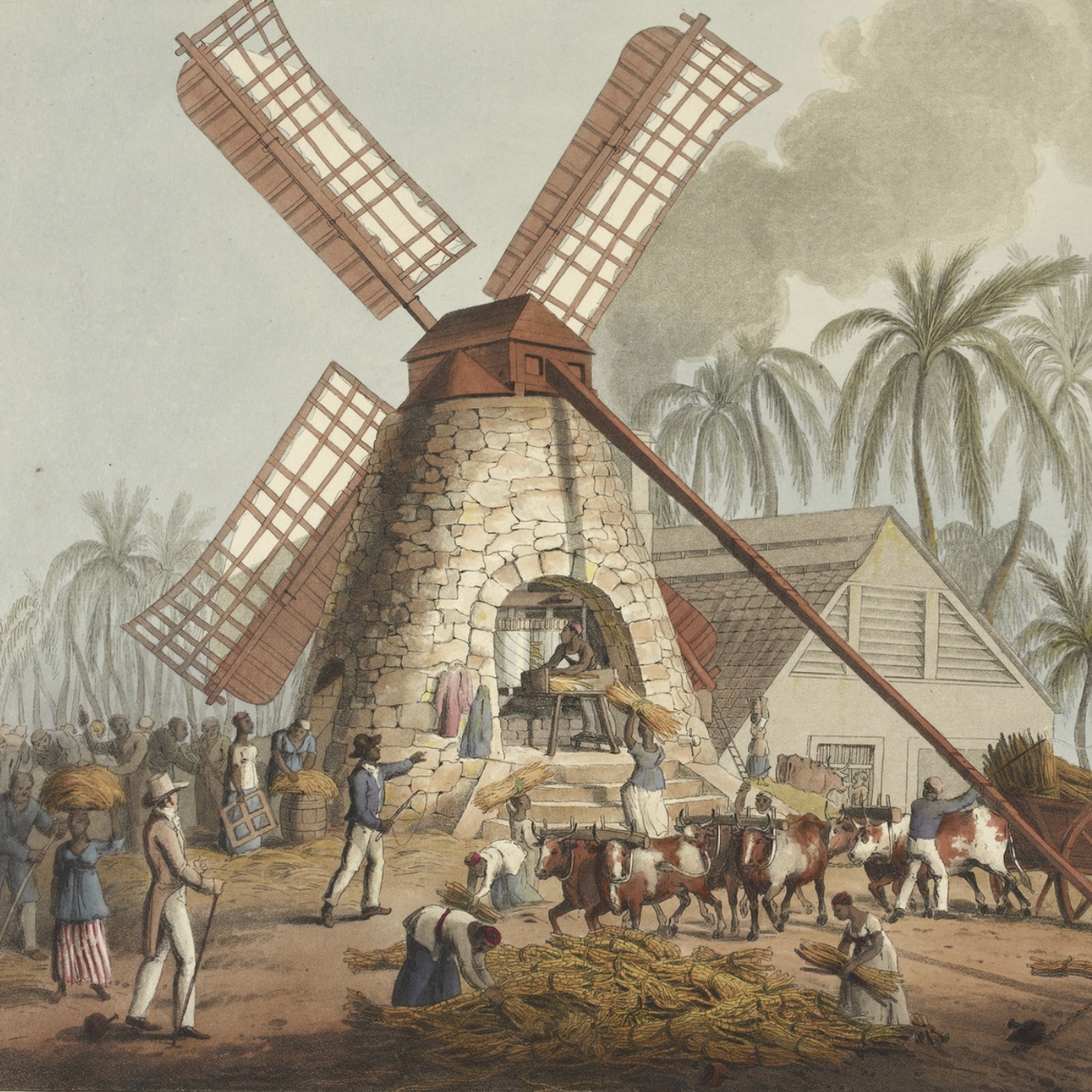 How Did Rum Influence the Declaration of Independence?