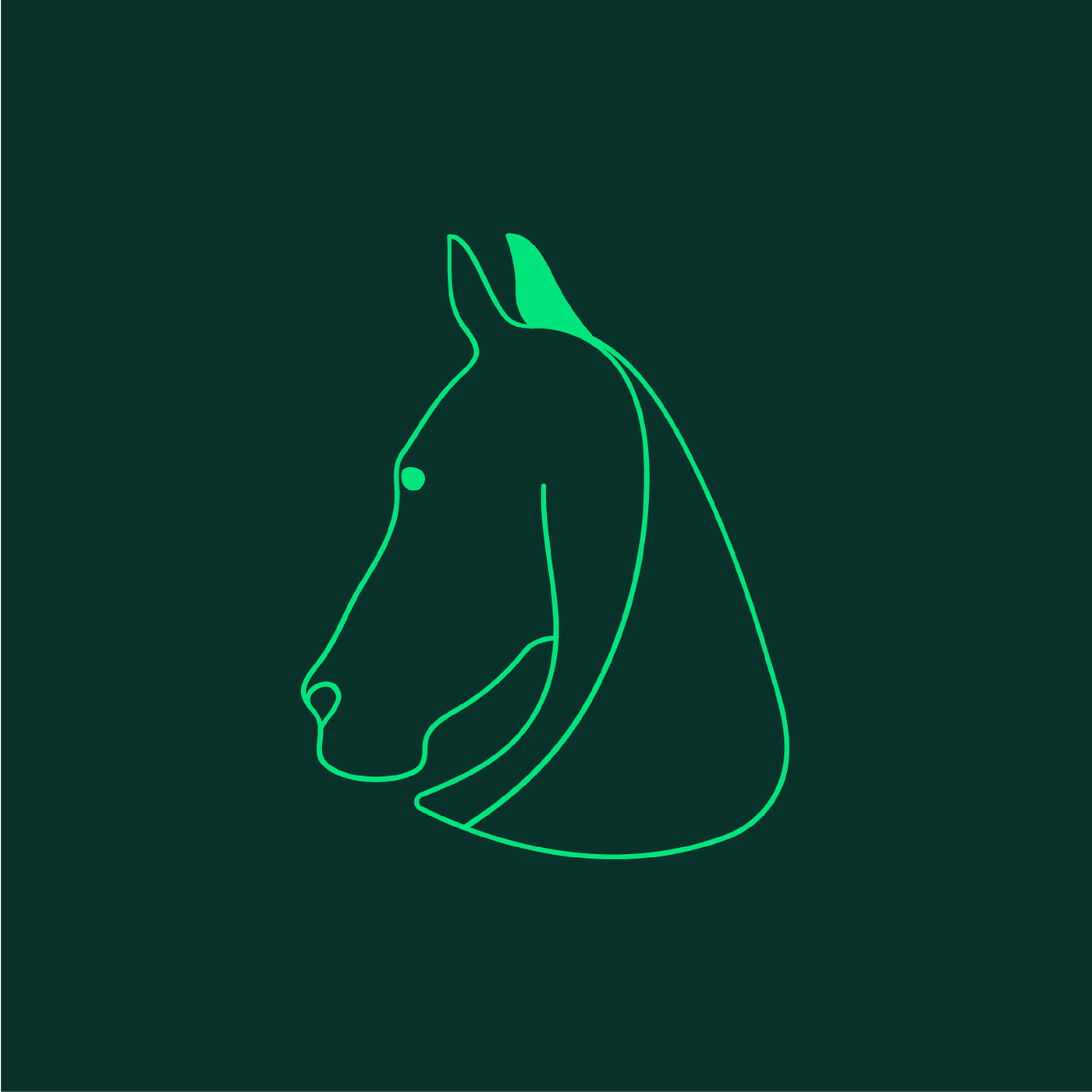 40 años de evolución en la distribución veterinaria equina con Koldo y Hèlia Rementeria