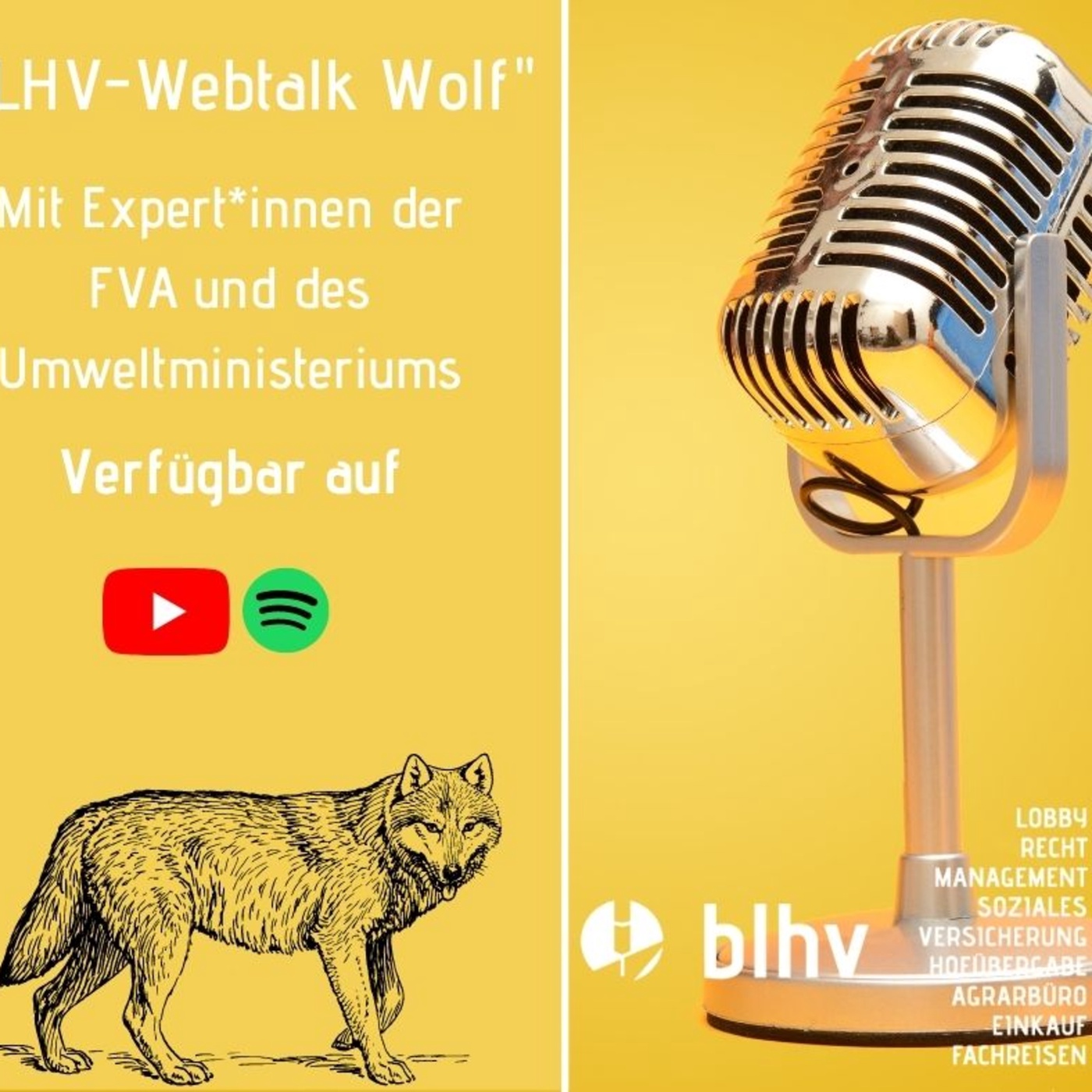 BLHV Webtalk Wolf 1: Einführung und Verbandsposition