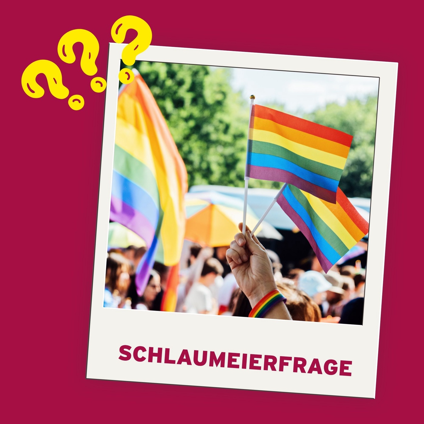 Warum ist der CSD wichtig?