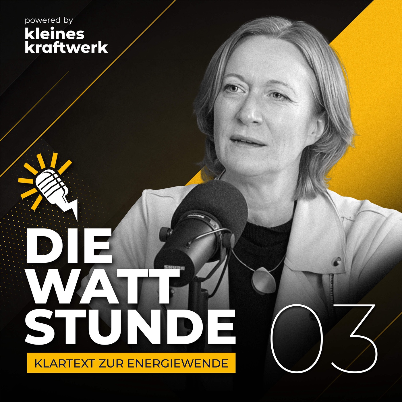 #3 - Energiekonzern-Lobbyistin: „Zwischen Katherina Reiche und mir gibt es ein Vertrauensverhältnis.