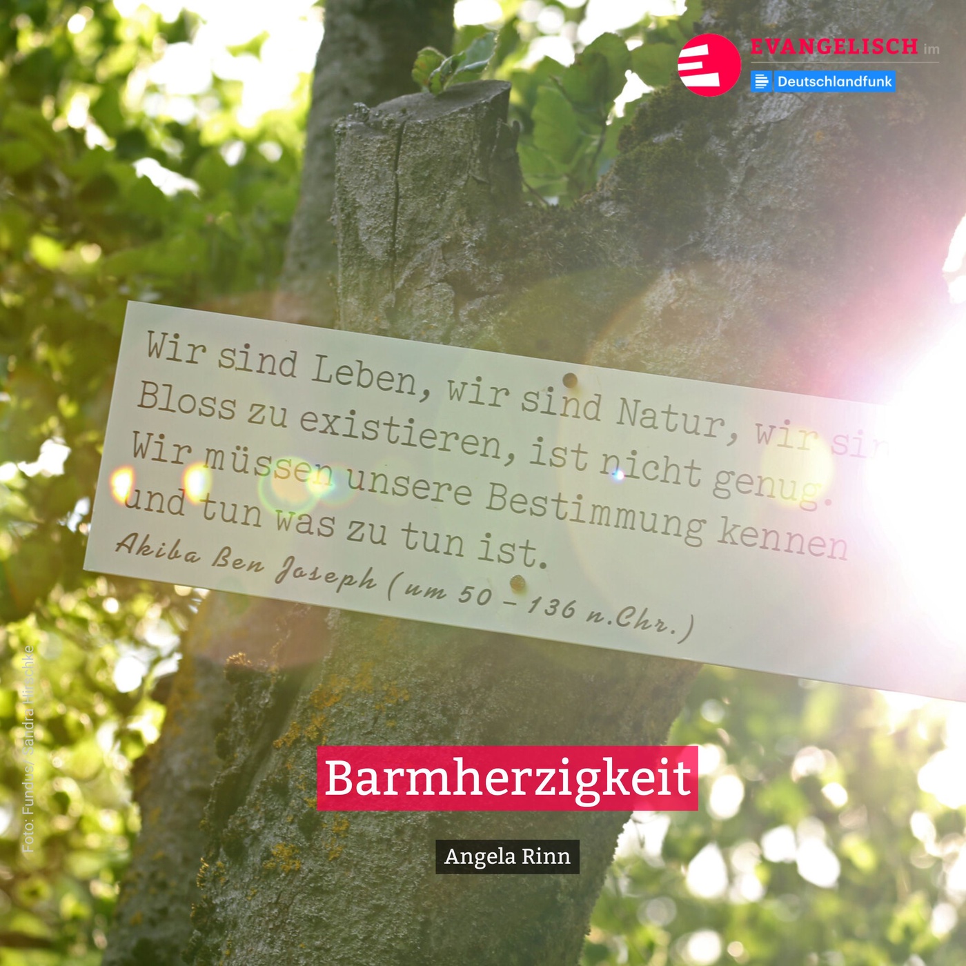 Barmherzigkeit