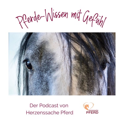 Pferde Verladen - wie drangehen?
