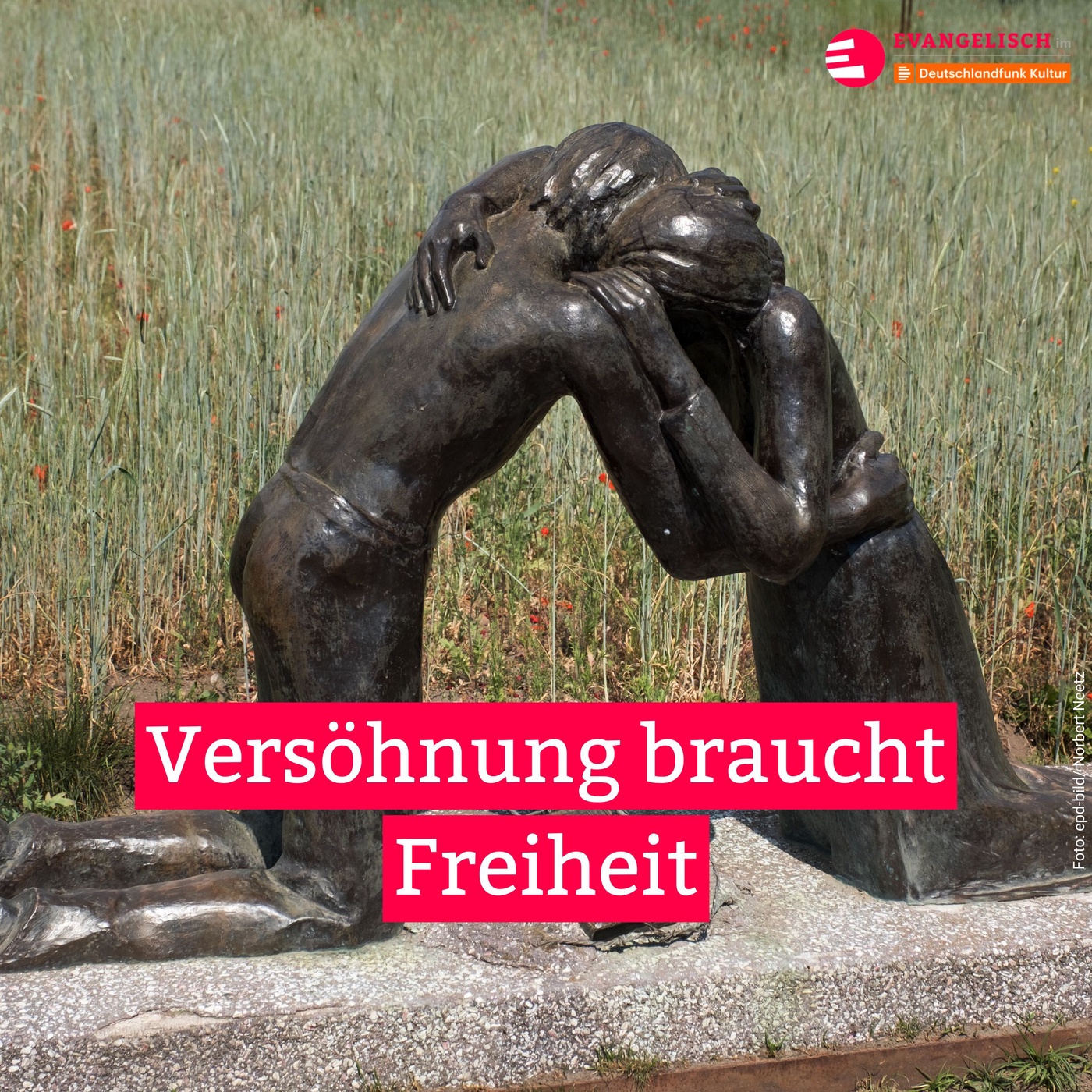 Versöhnung braucht Freiheit