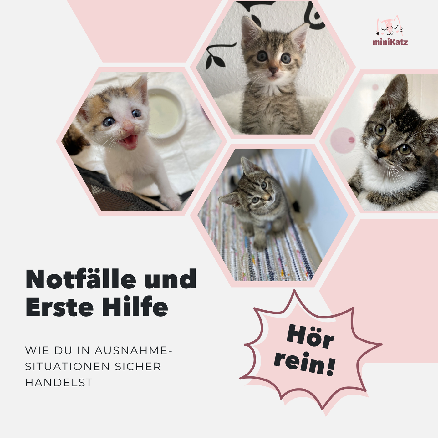 Notfälle und Erste Hilfe