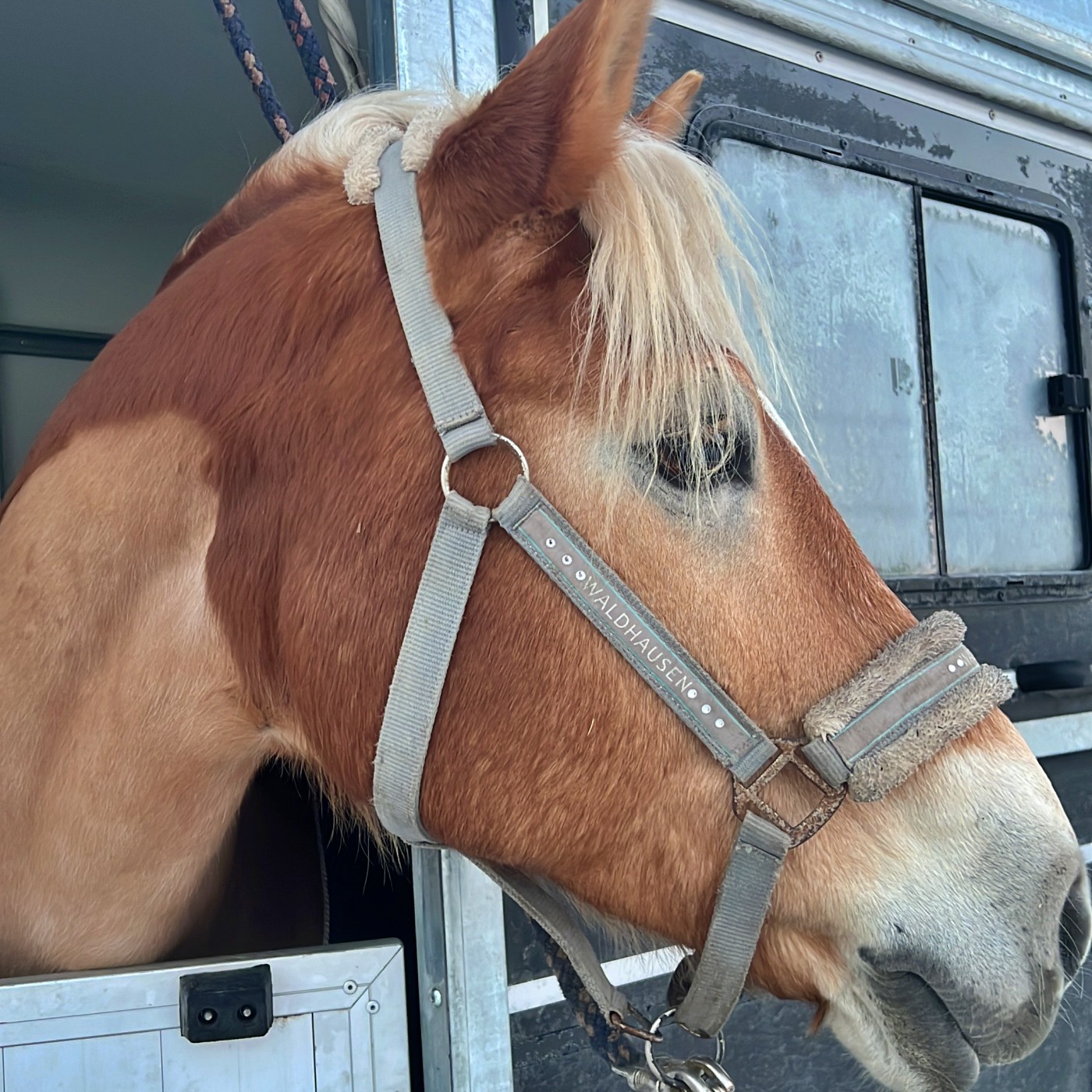 #421 Nächstes Level für AC/DC: Championat mit Olympia-Flair