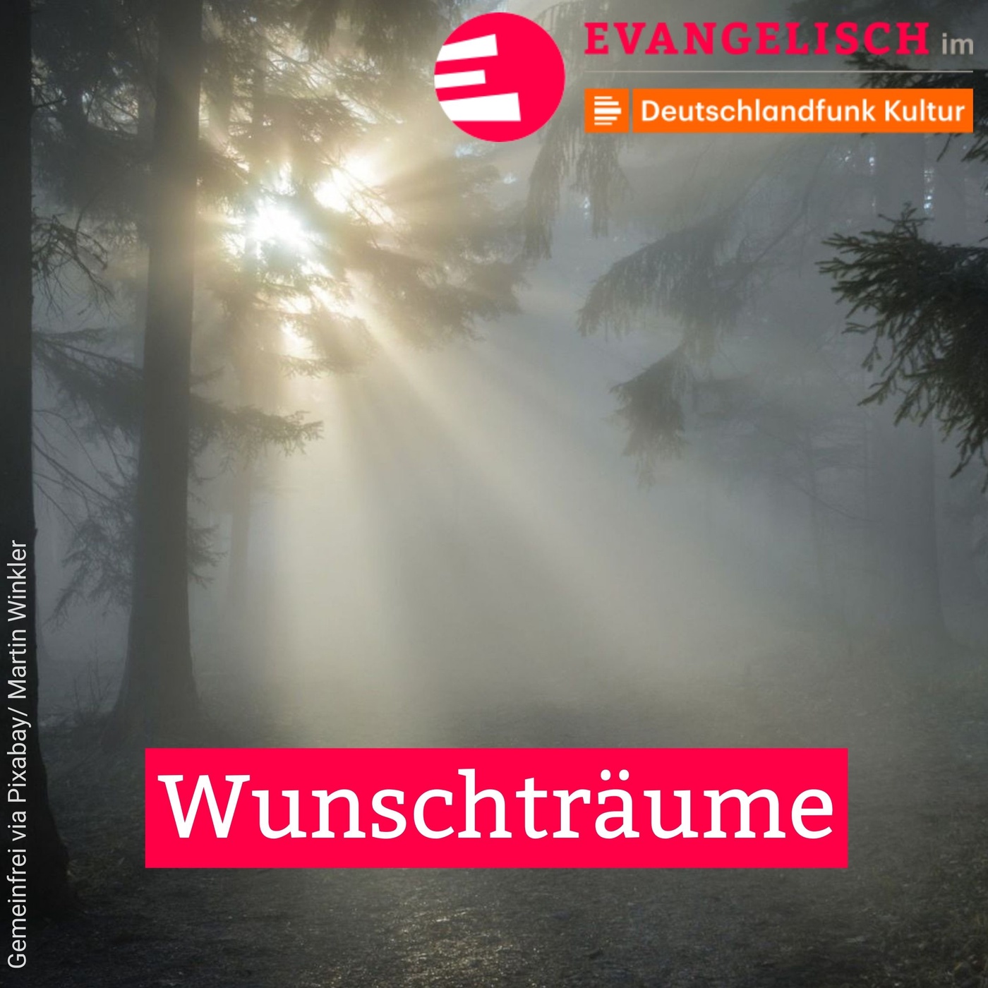 Wunschträume