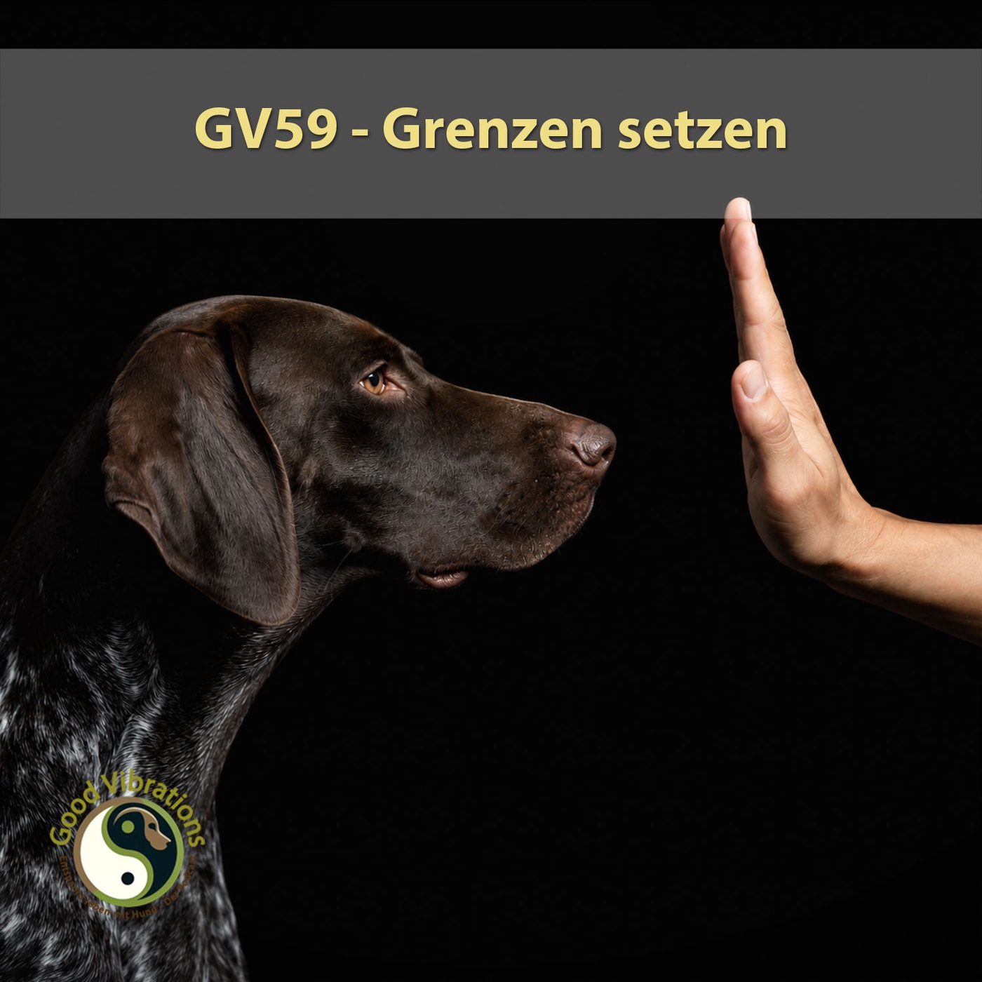 GV 59_Grenzen setzen