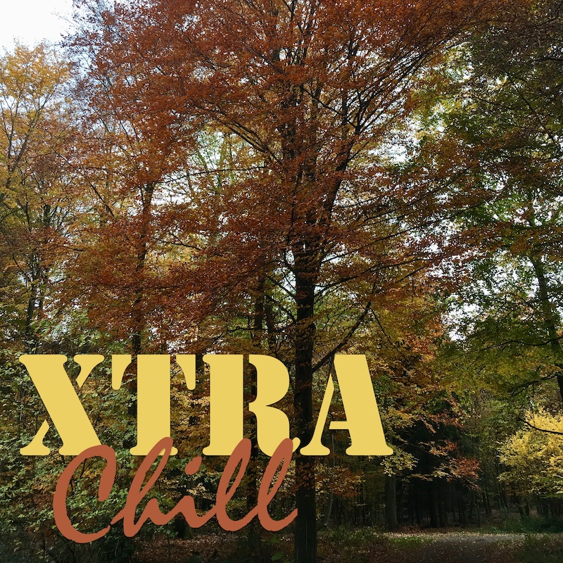 XtraChill 310