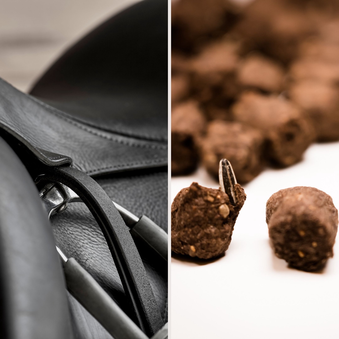 Dressur meets Horsemanship und Clickern