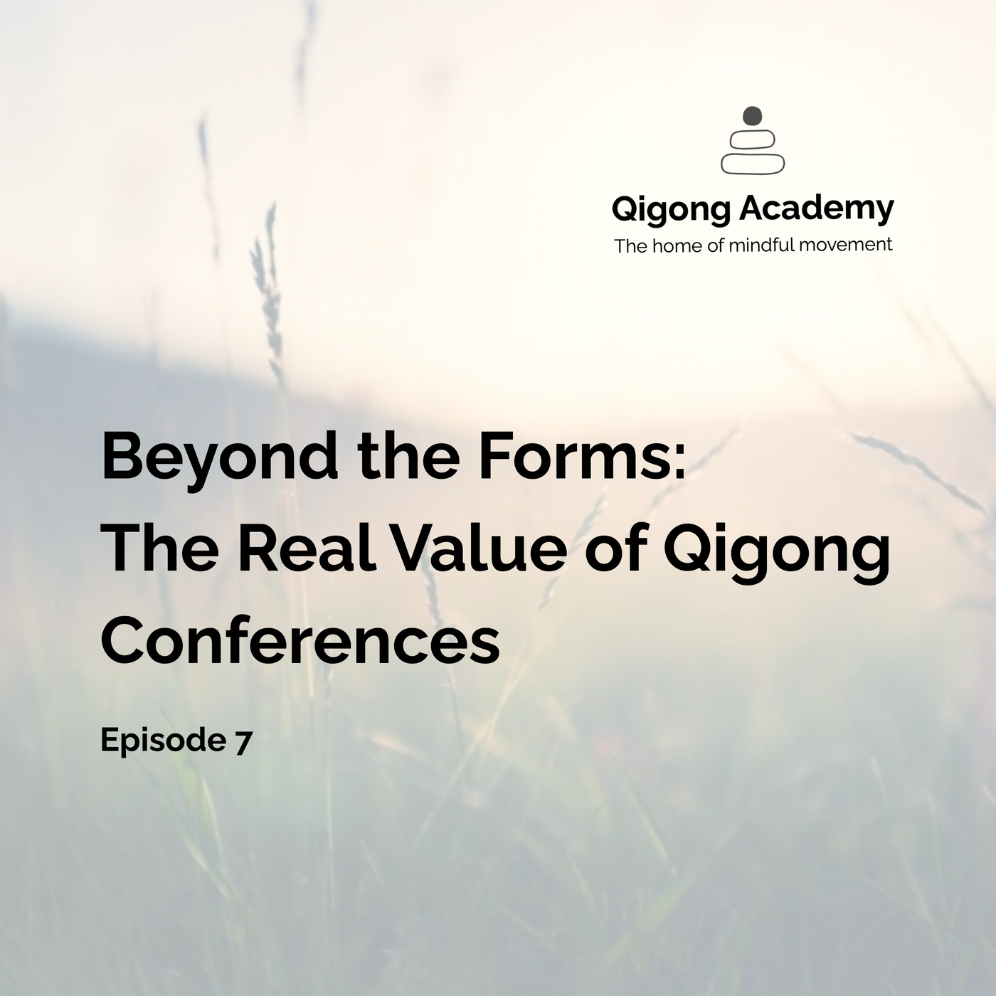 Episode 7 - Beyond the Forms: The Real Value of Qigong Conferences