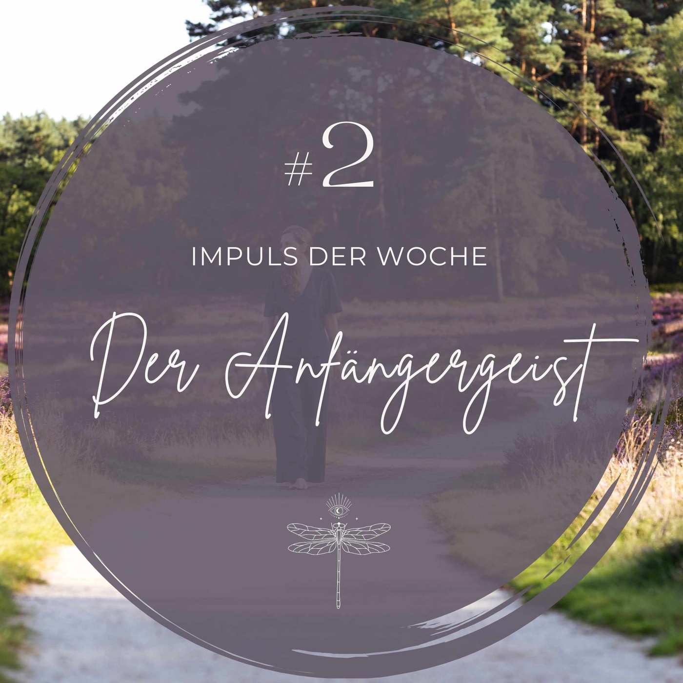 # 2 | IMPULS DER WOCHE – Der Anfängergeist