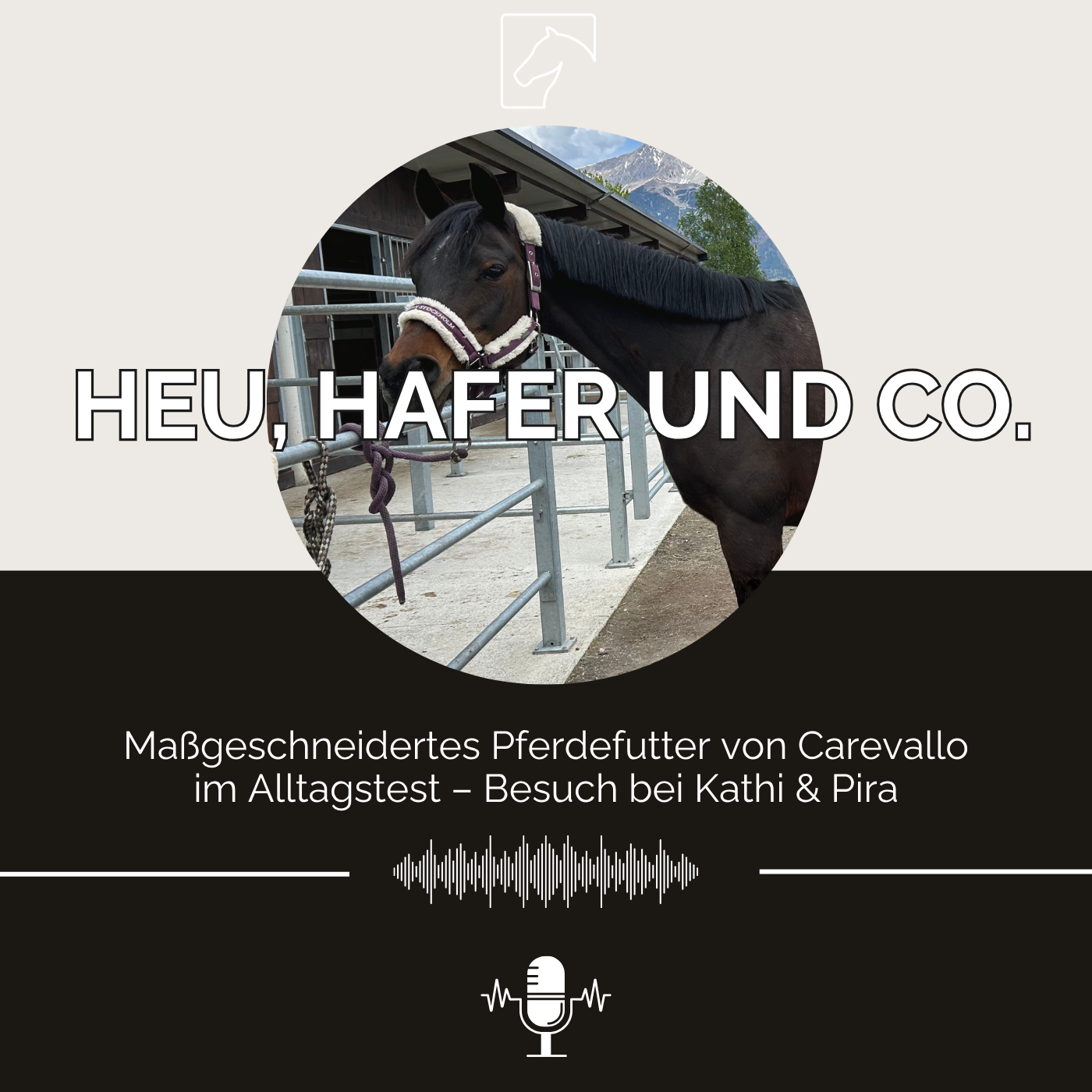 Episode 32 - Maßgeschneidertes Pferdefutter von Carevallo im Alltagstest: Besuch bei Kathi und Pira