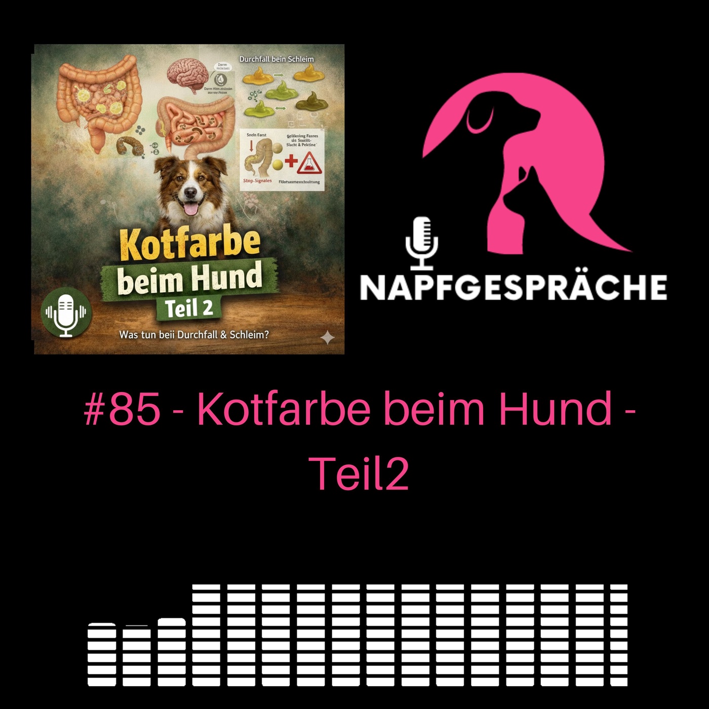 #85 - Kotfarben beim Hund – Teil 2: Was tun, wenn’s nicht besser wird? 