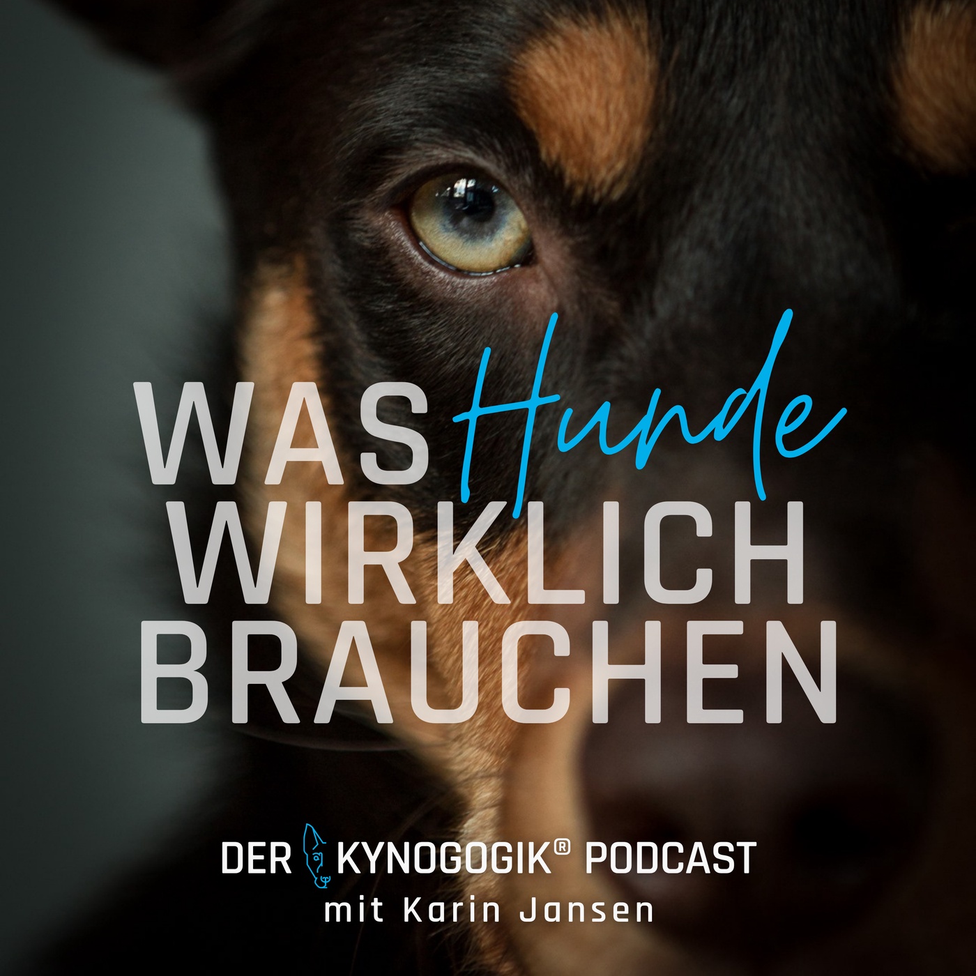 Der Kynogogik® Podcast mit Karin Jansen – Was Hunde wirklich brauchen.
