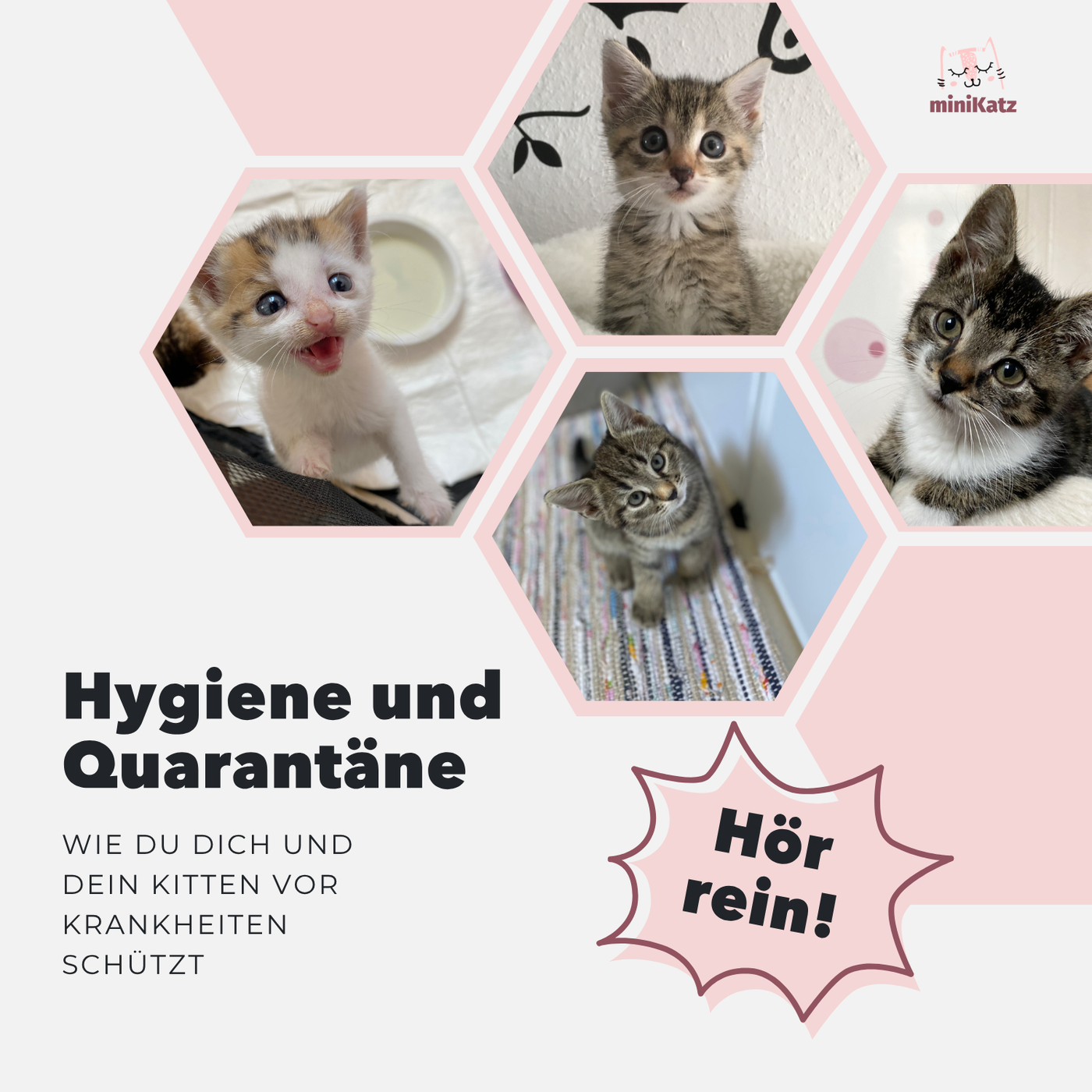 Hygiene und Quarantäne auf Pflegestellen