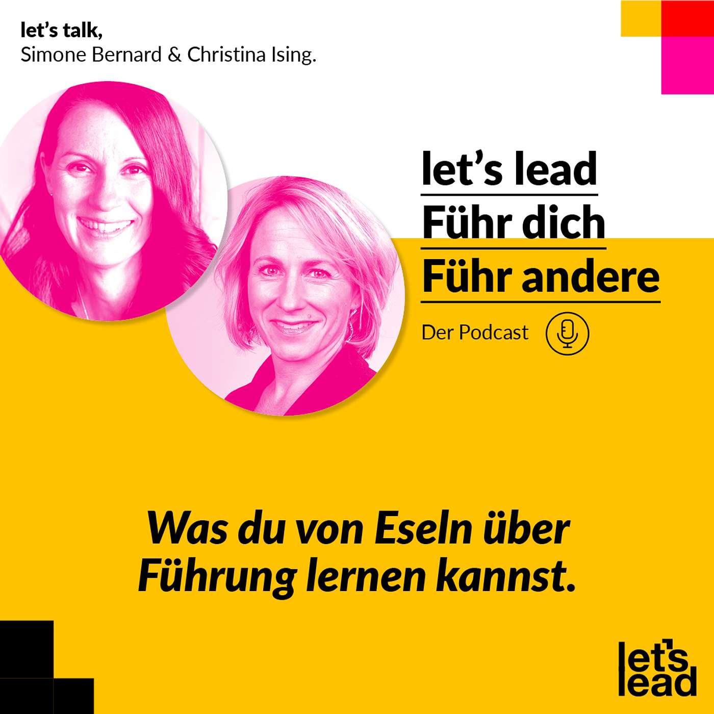 #84 Was du von Eseln über Führung lernen kannst.